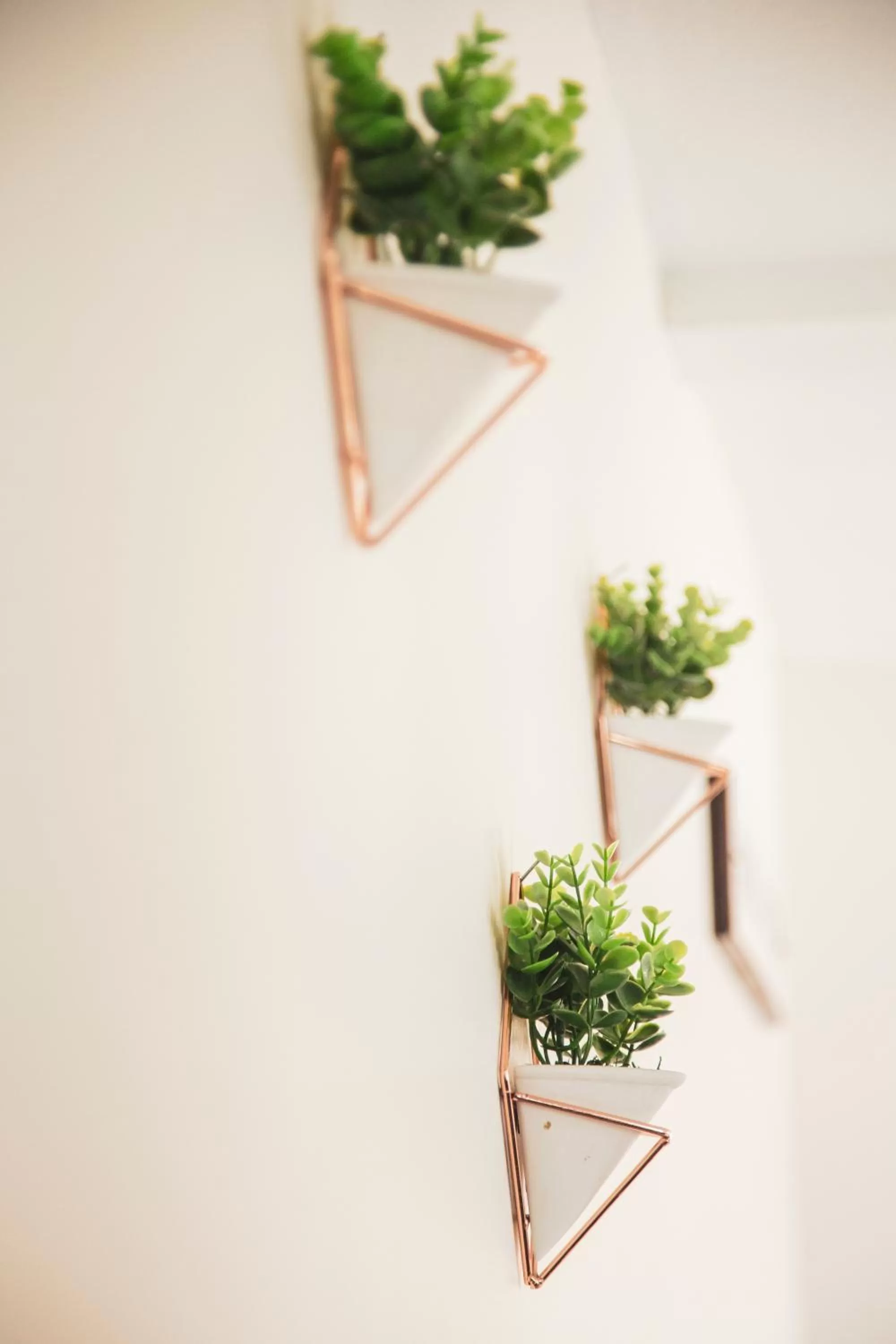 Lobby or reception in Happy Day Inn