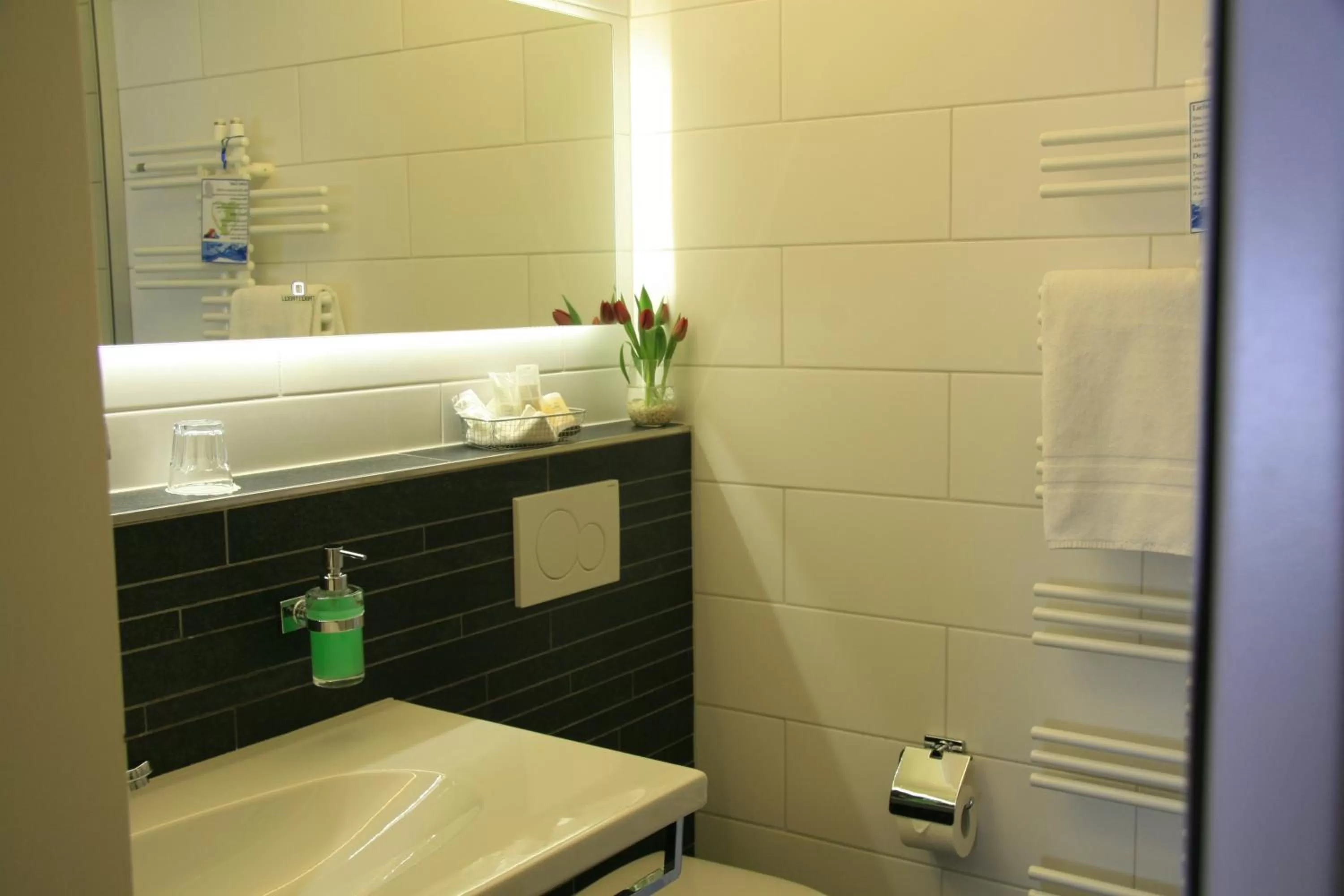 Bathroom in Hotel Eremitage