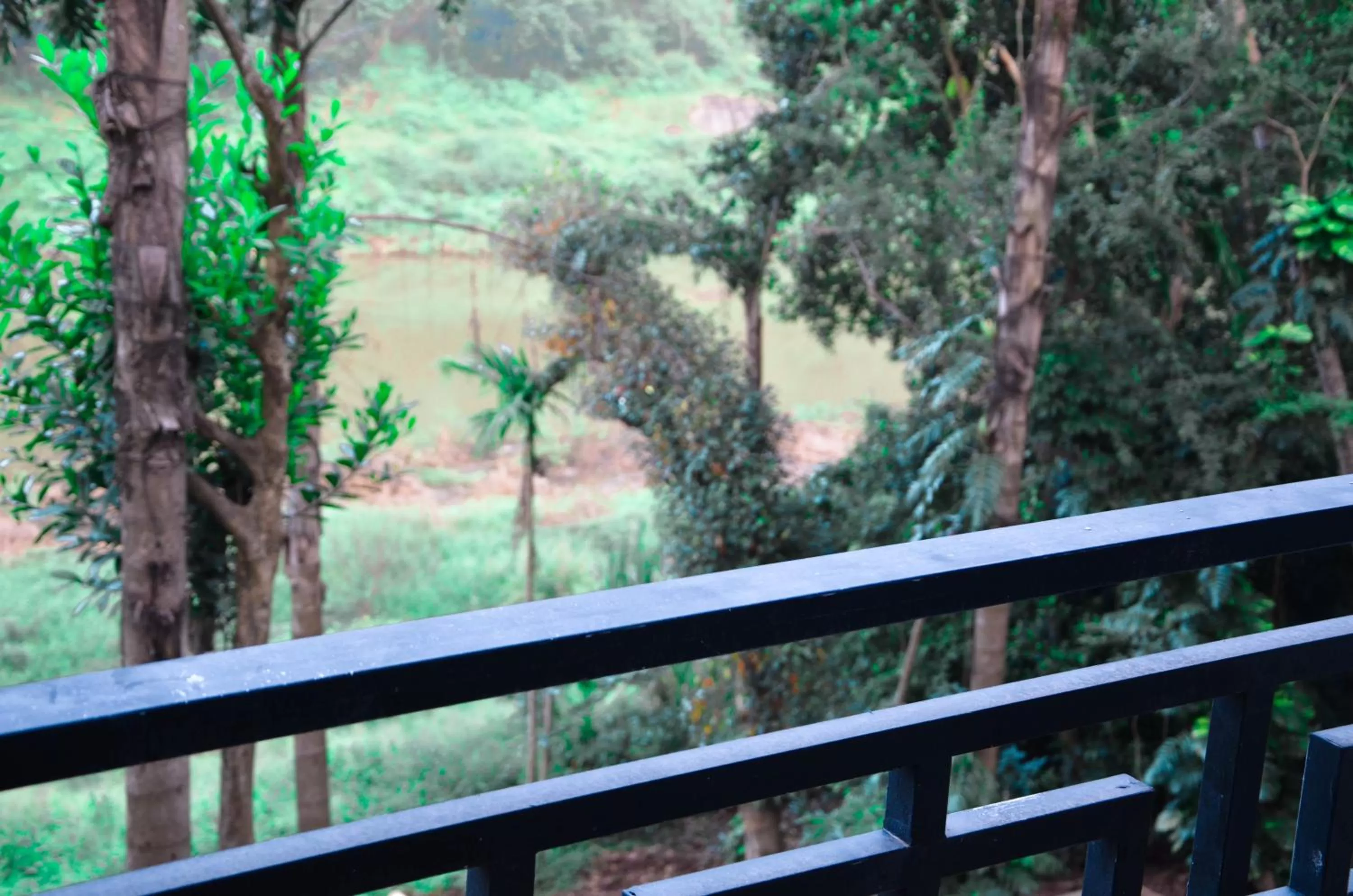 View (from property/room) in Kandy Rivers Edge Nature Resort