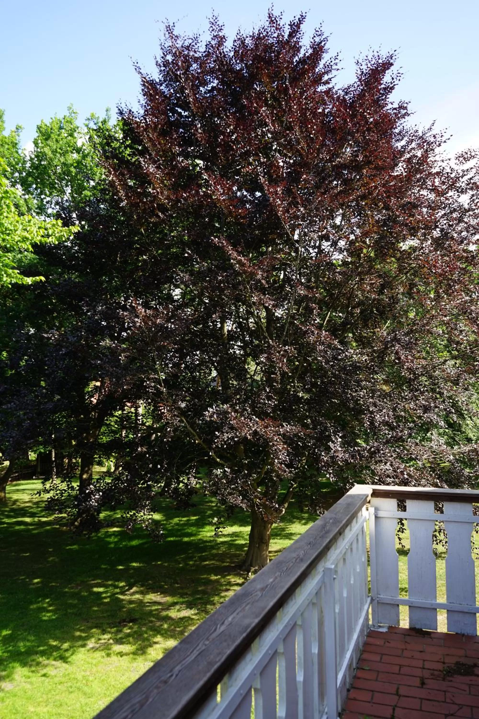 Balcony/Terrace in Niedersachsen Hof