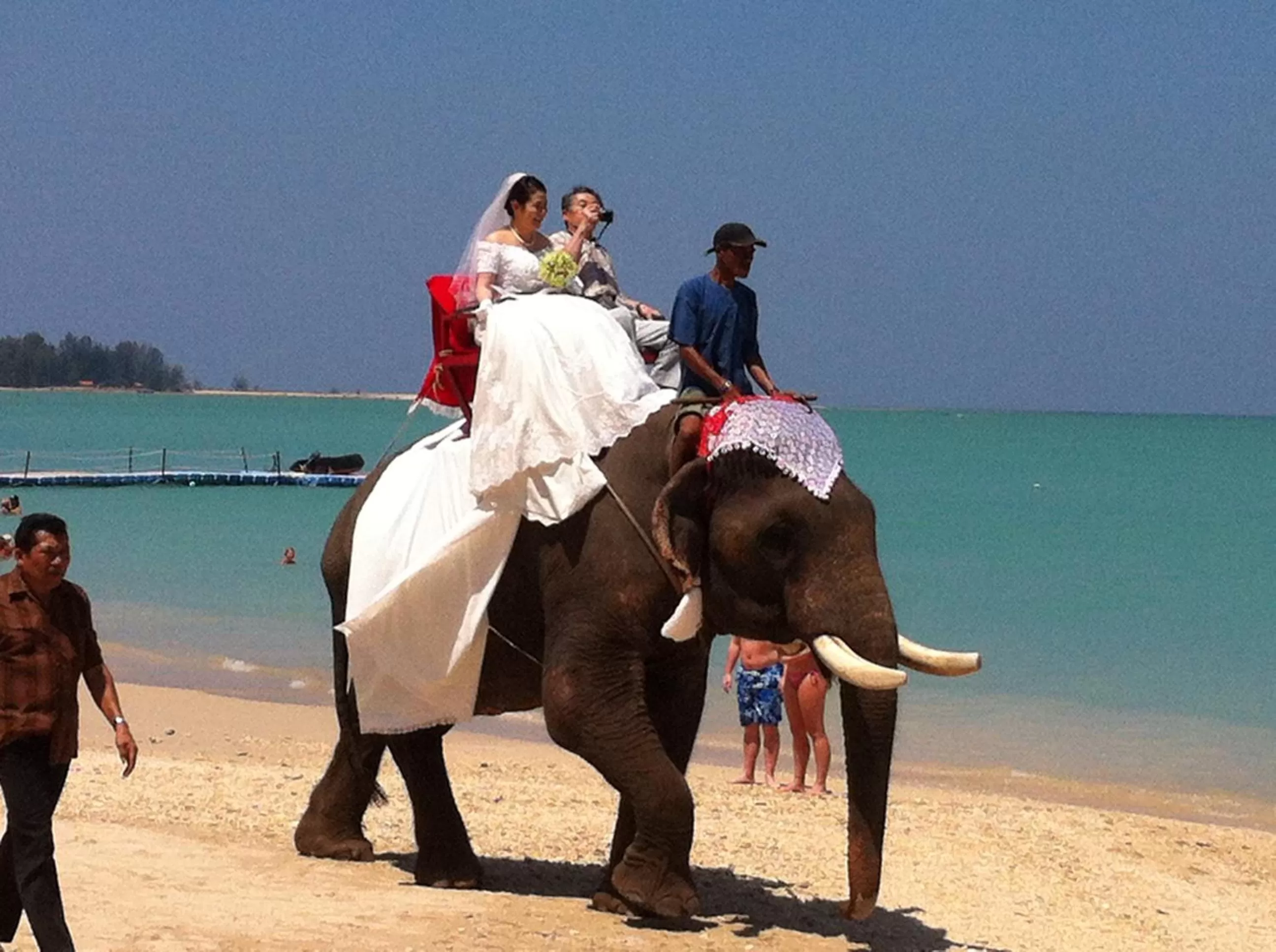 Other Animals in Ao Thong beach Bungalows