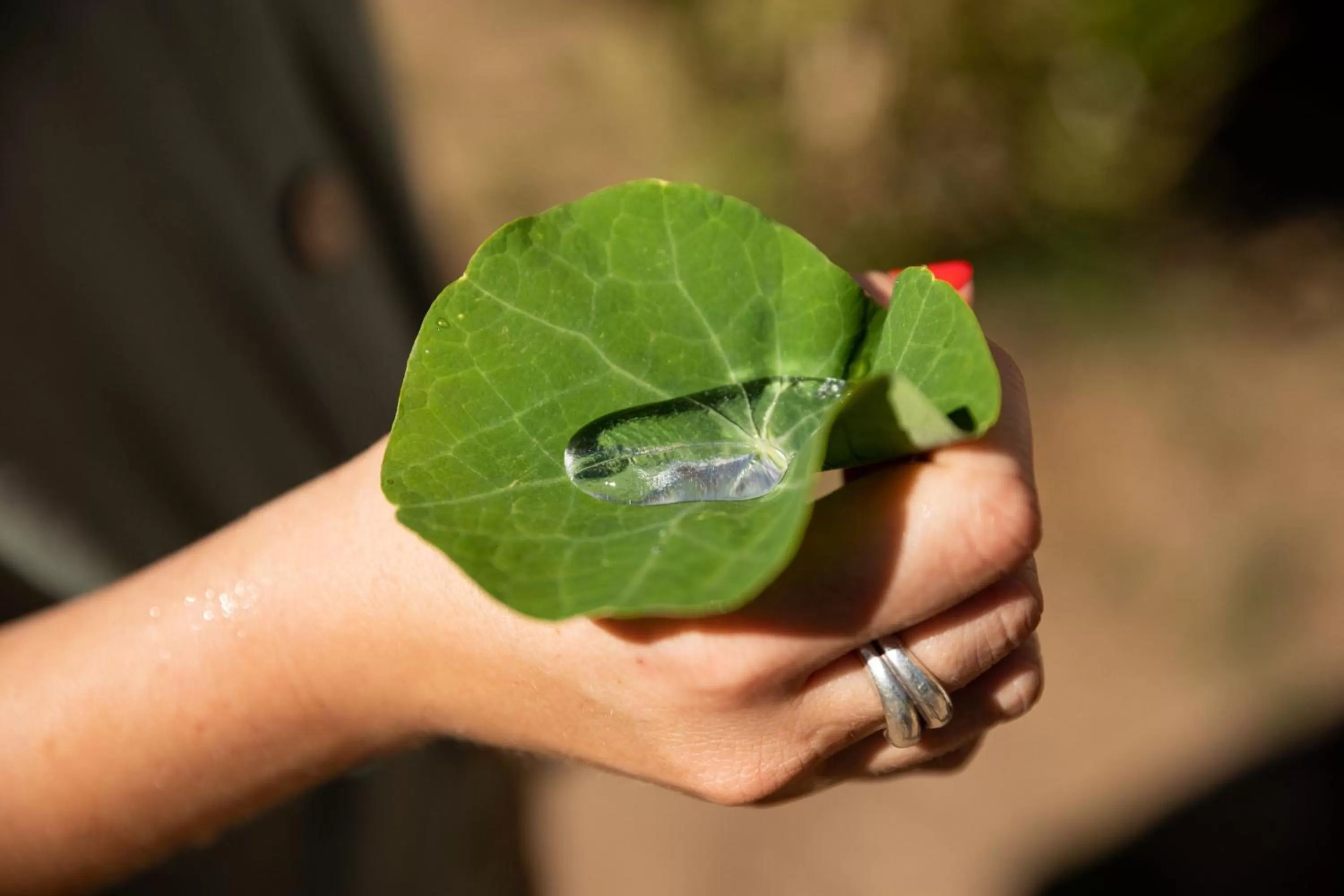 Restaurant/places to eat in Ciêla, Lusaka, a Tribute Portfolio Resort and Spa