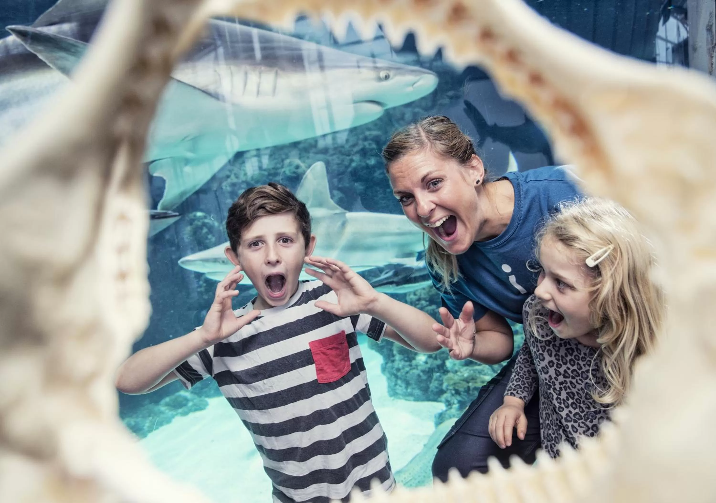 Other in Kysthotellet