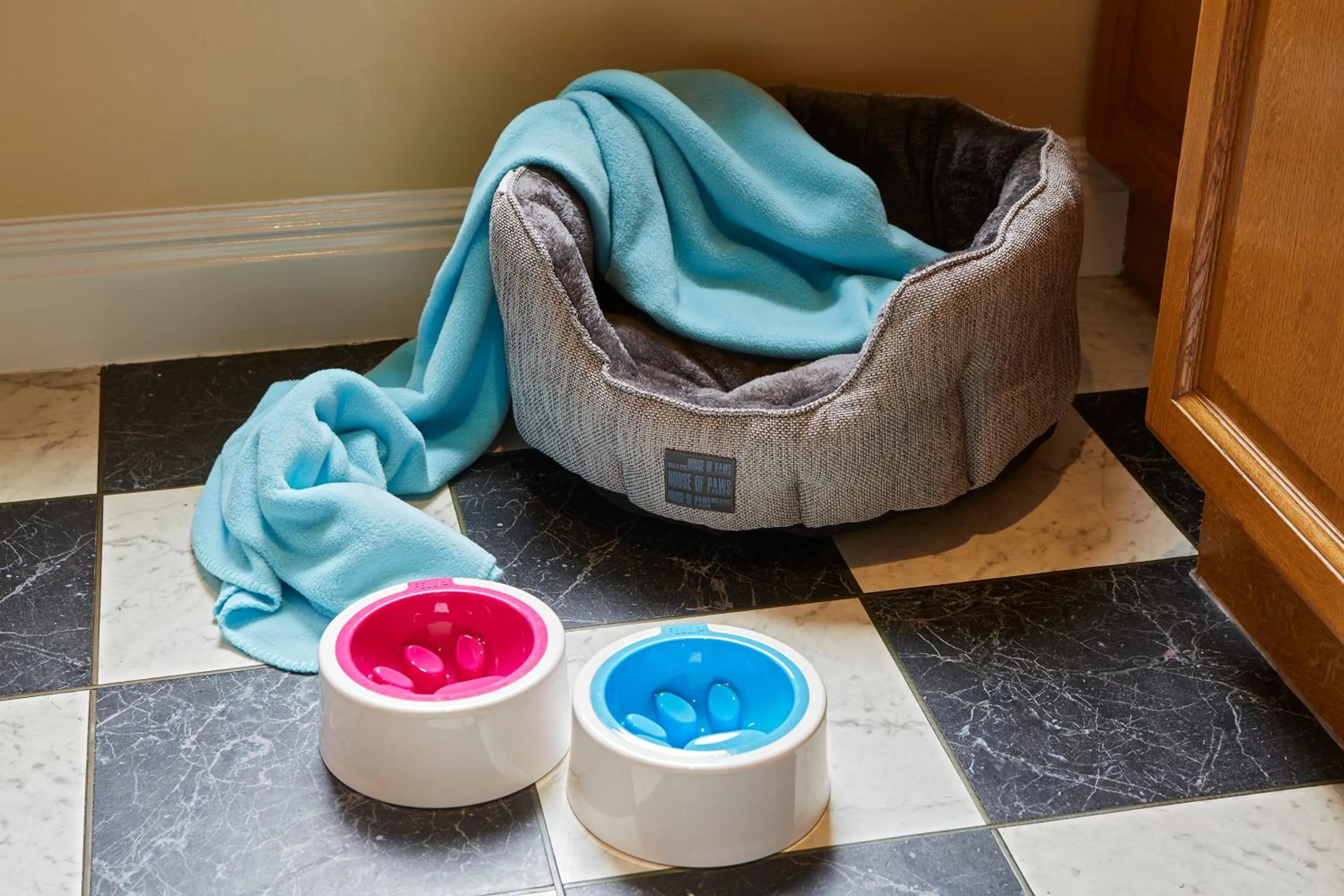 Animals in Cheval Thorney Court at Hyde Park