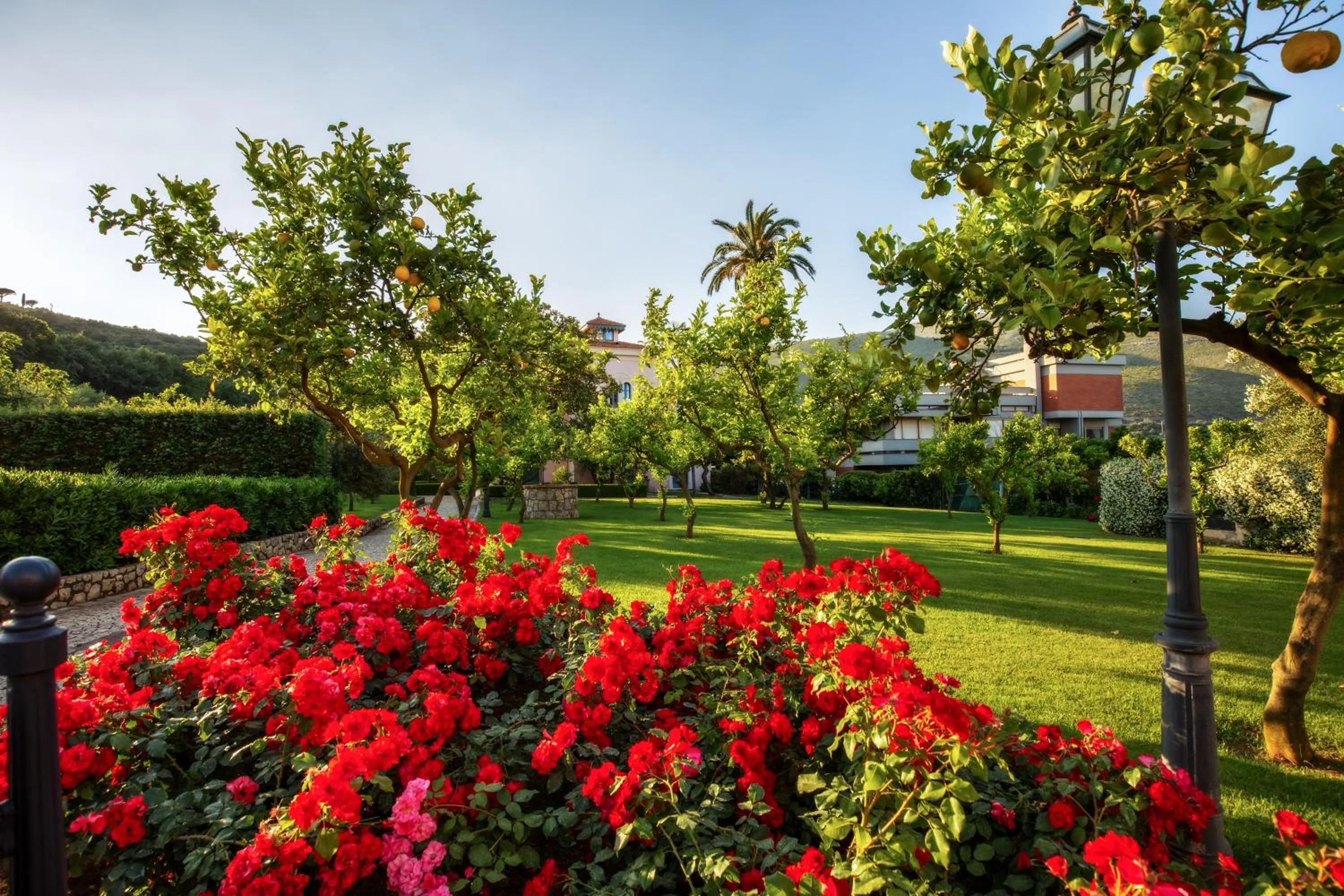 Garden view in Villa Irlanda Grand Hotel