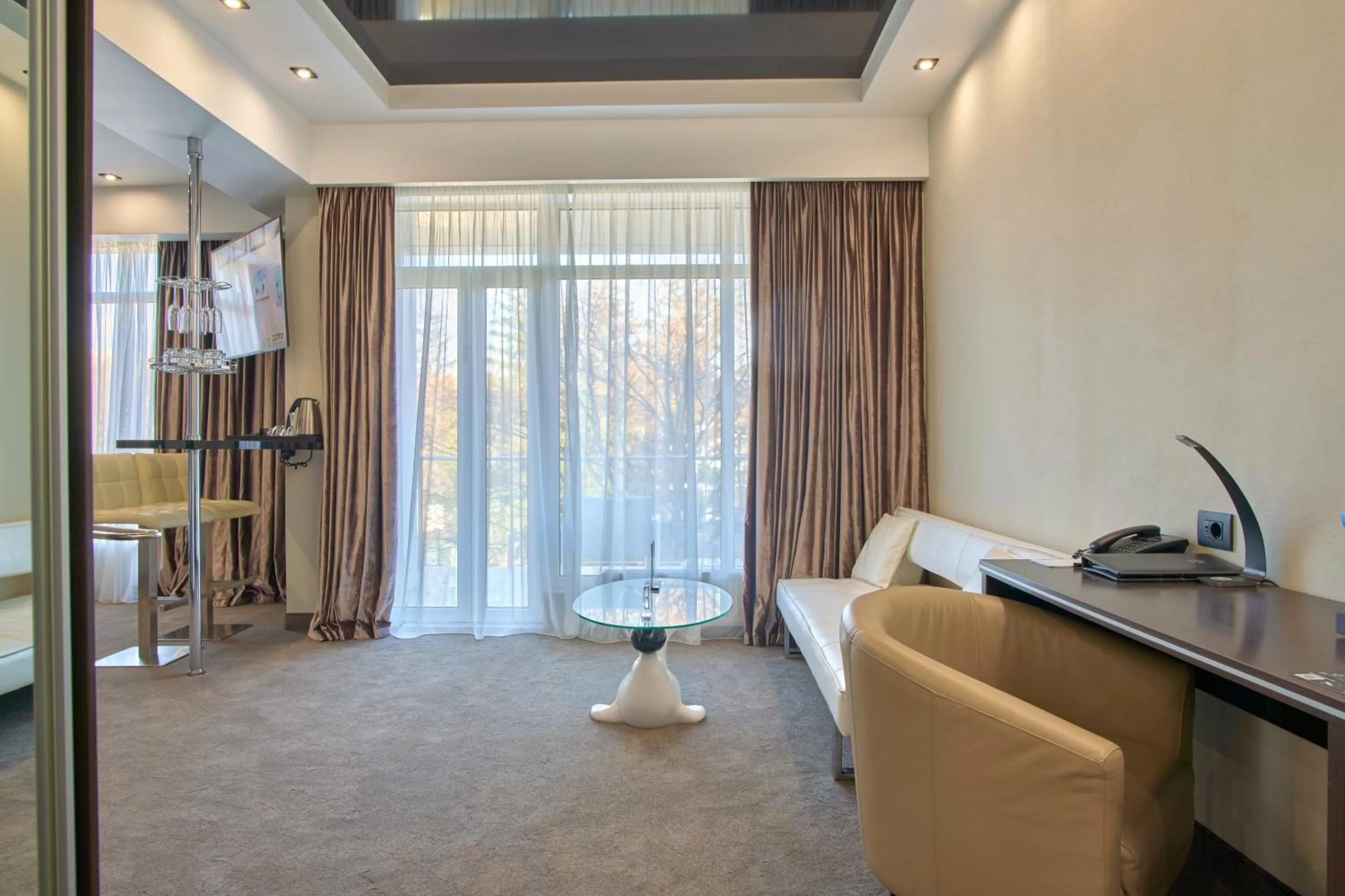 Living room, Kitchen/Kitchenette in Hotel & Spa NEMO with dolphins