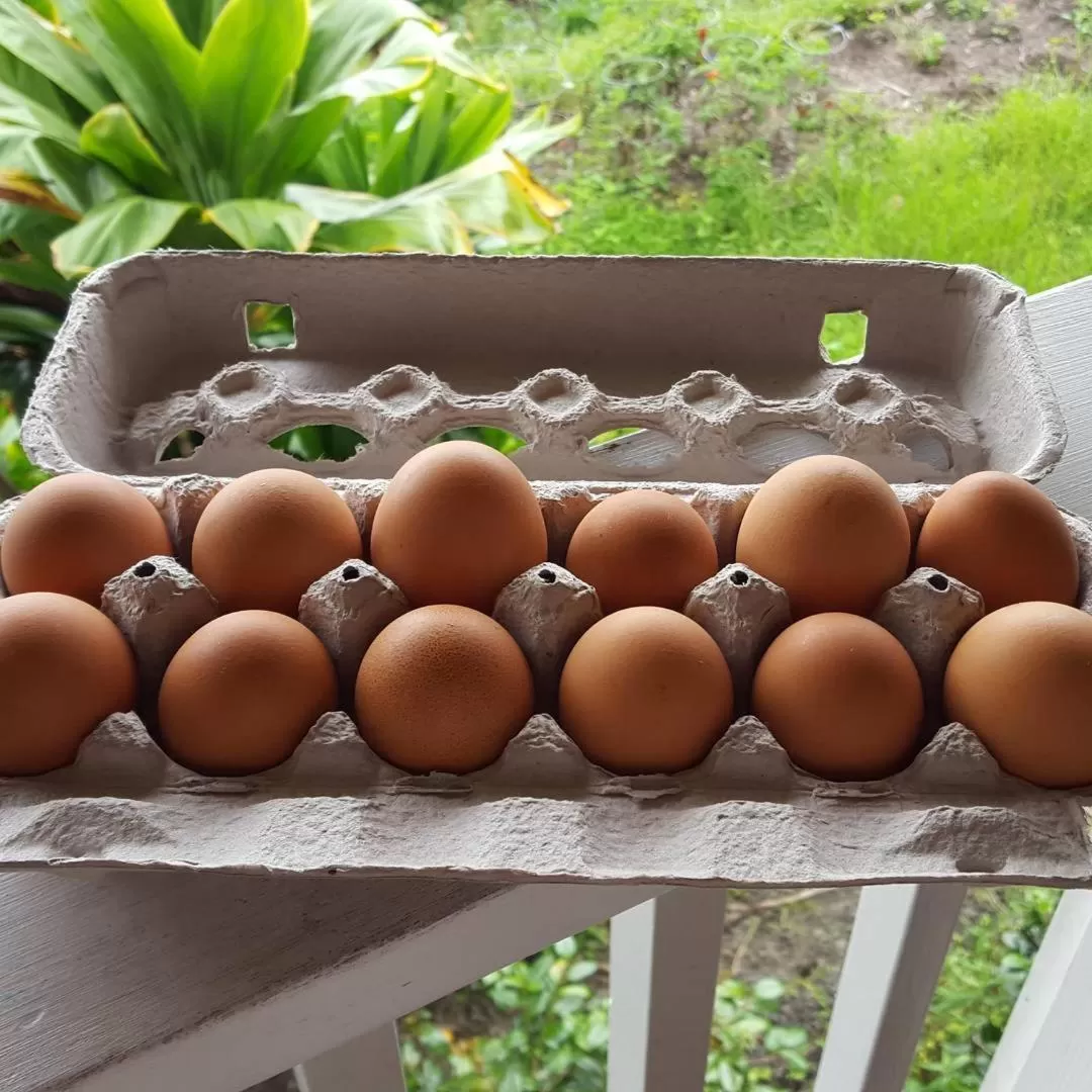 Breakfast in Hale Hualalai