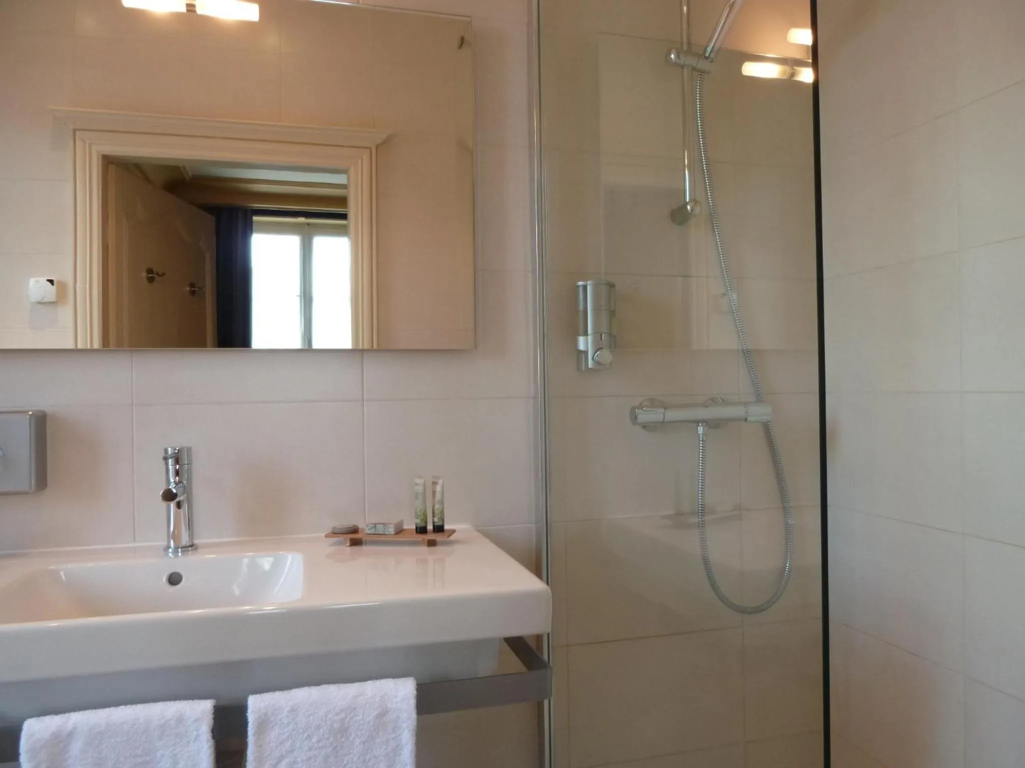 Bathroom in Hôtel Grand Monarque