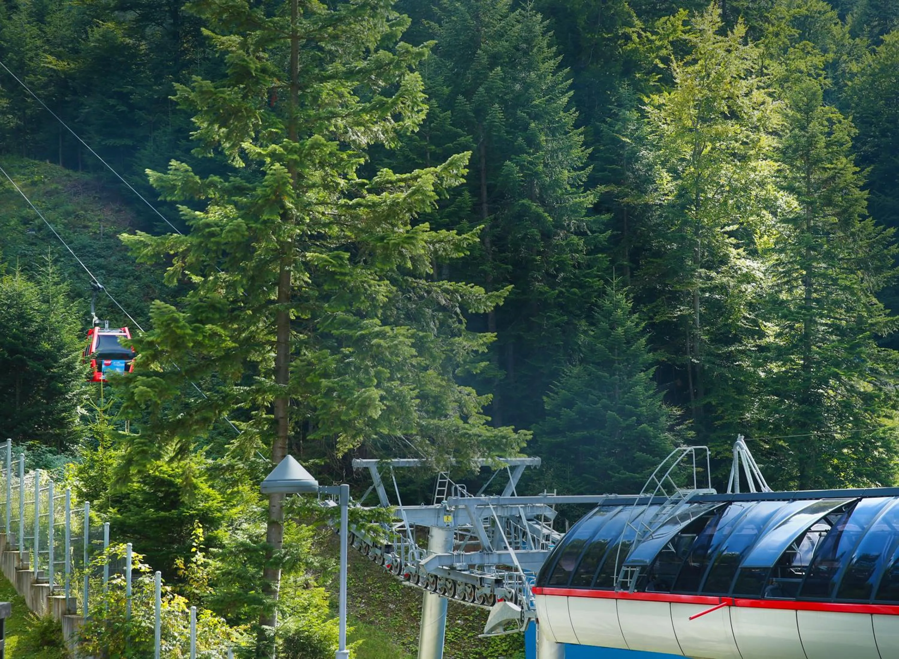 Garden in Lux Garden Hotel