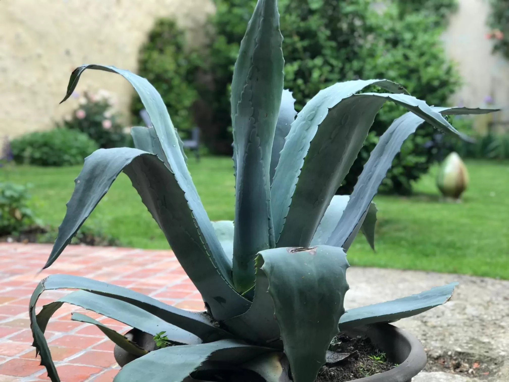 Property building in La maison Jeanne d'Arc