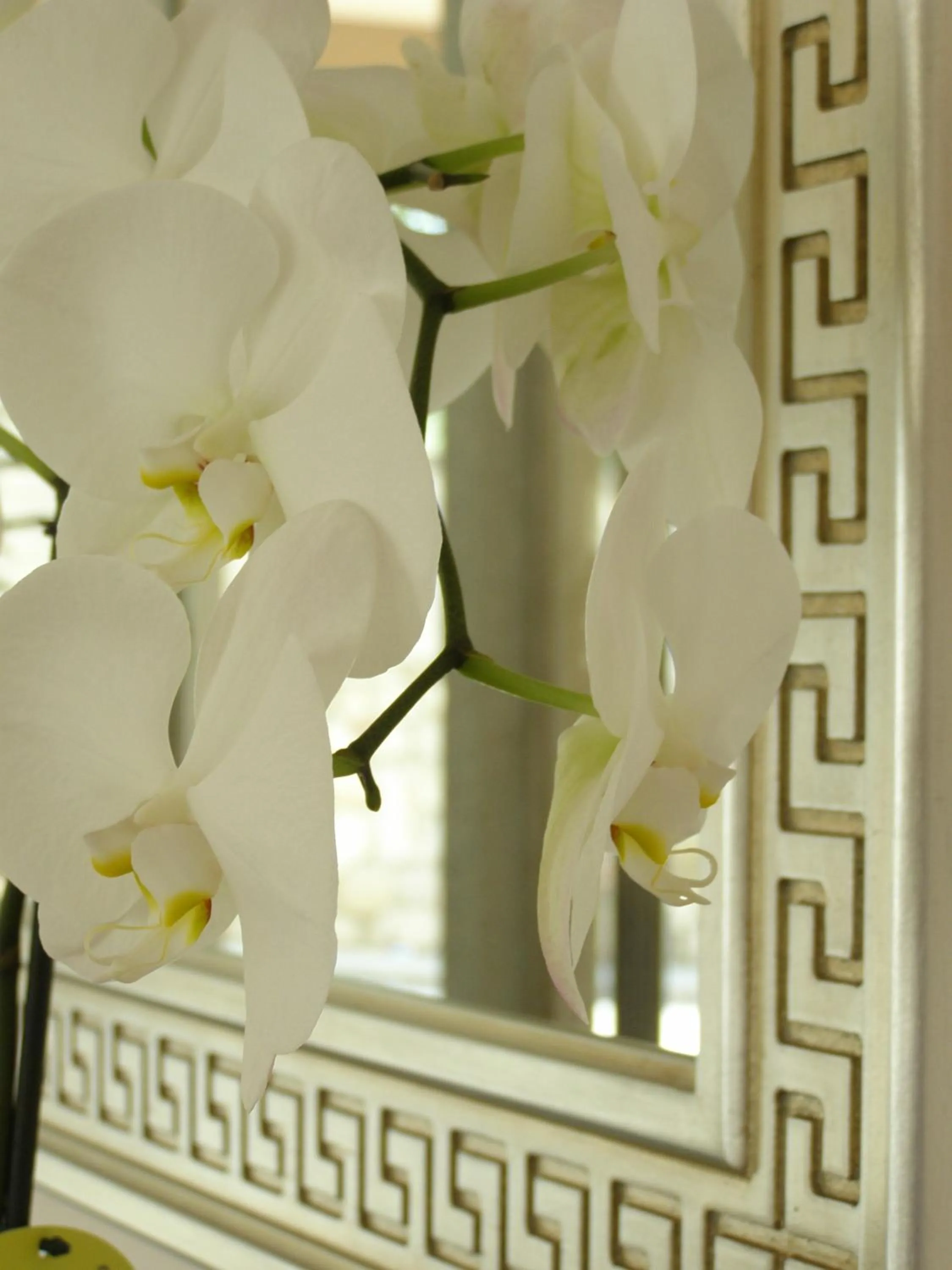 Other in Hotel For You