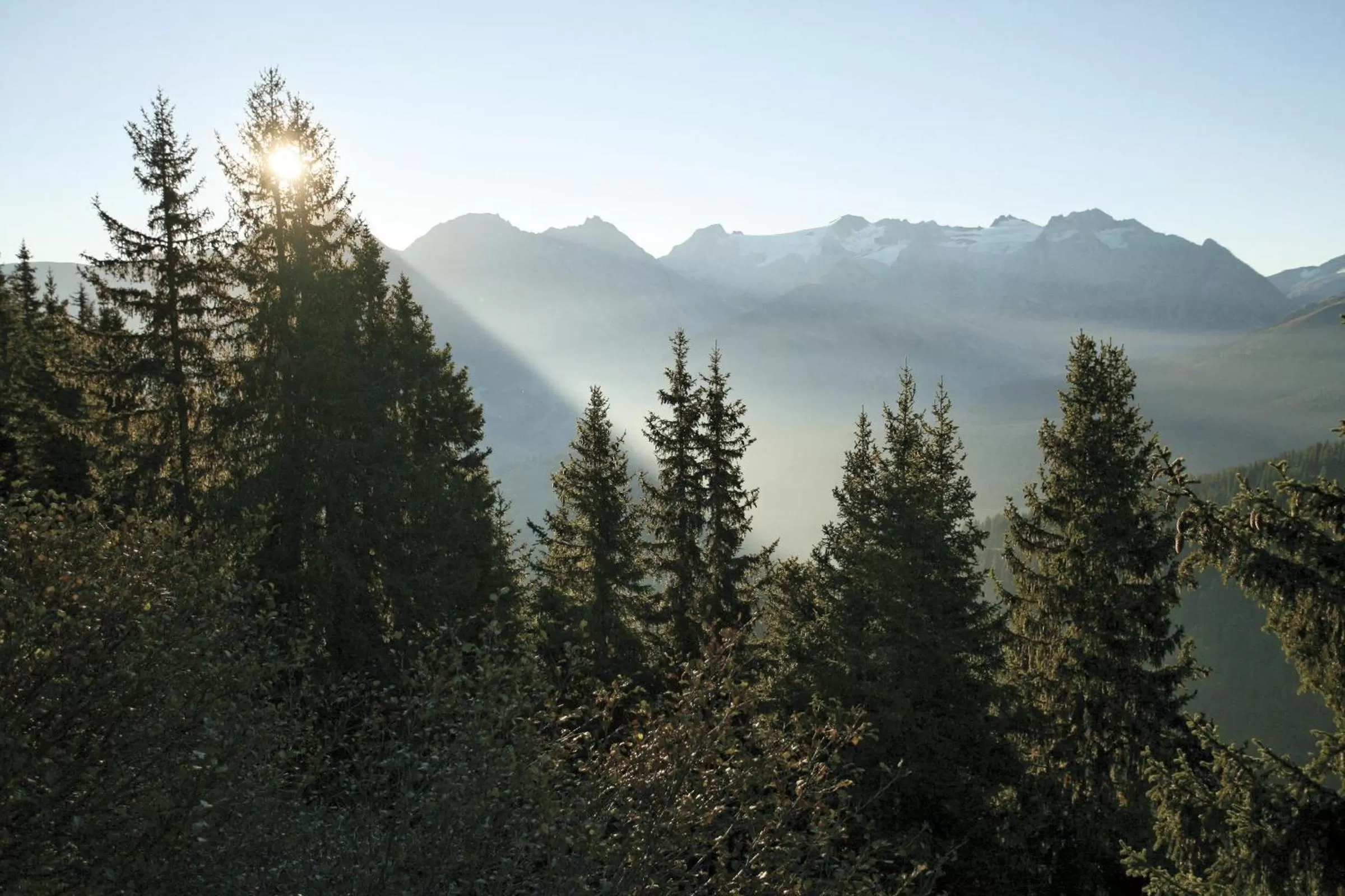 View (from property/room) in Catrina Hotel