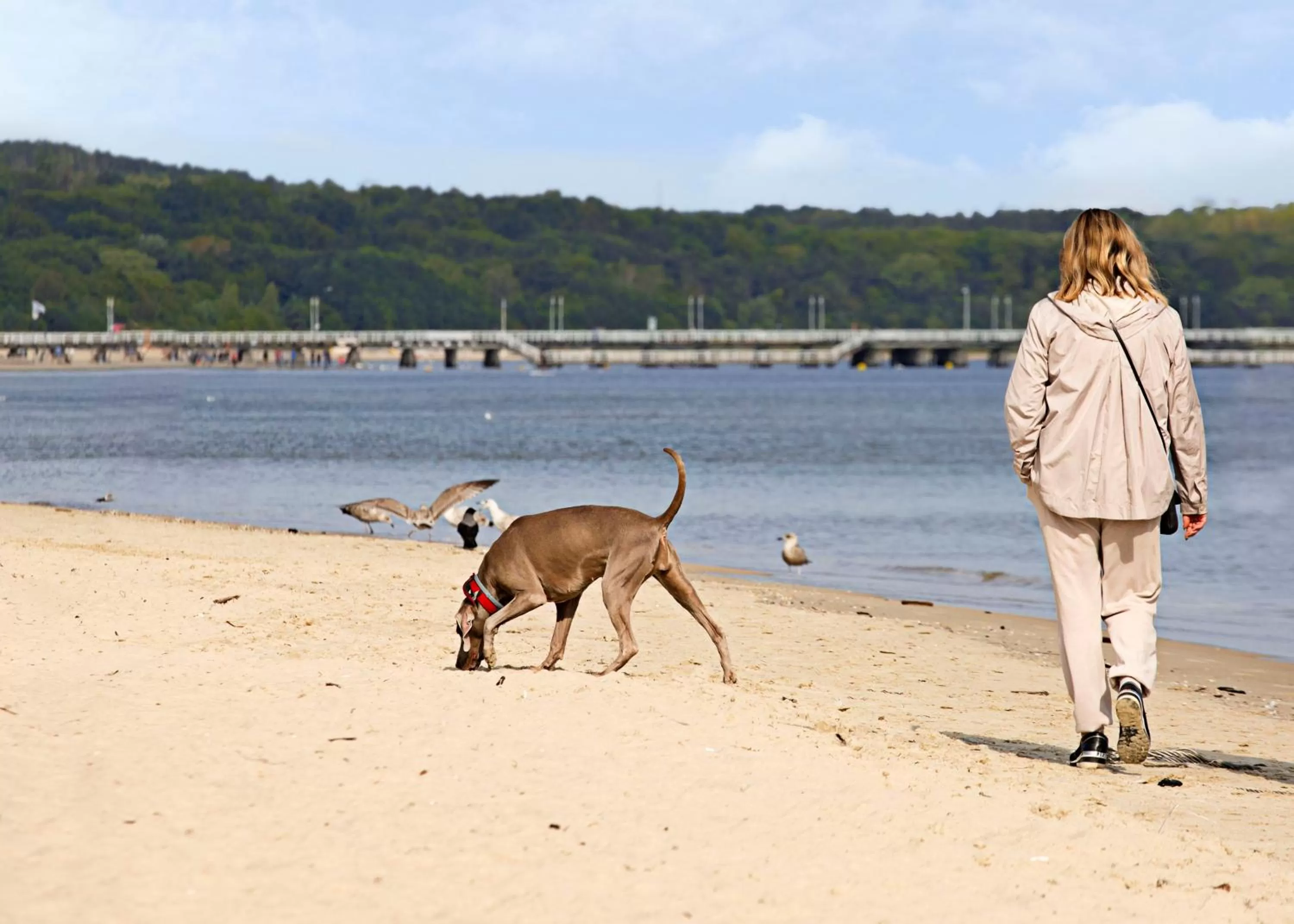 Off site in AQUA HOUSE