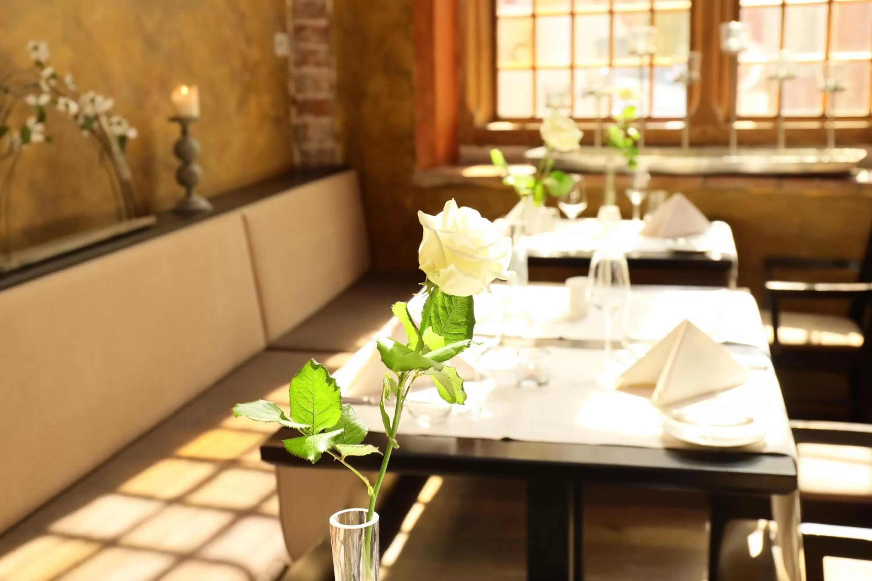 Restaurant/places to eat in Romantik Hotel Scheelehof Stralsund