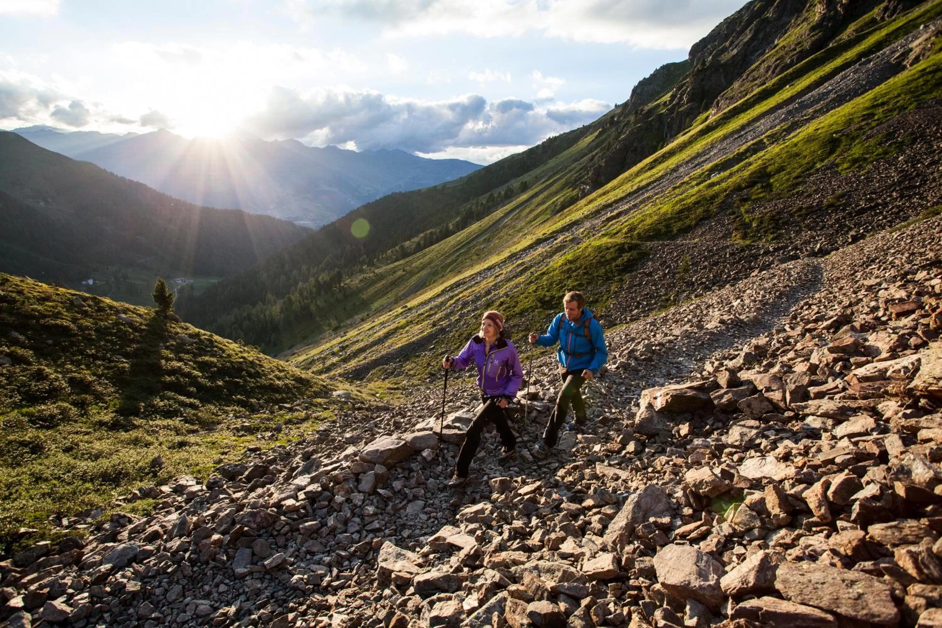 Activities in Pension Fuchs