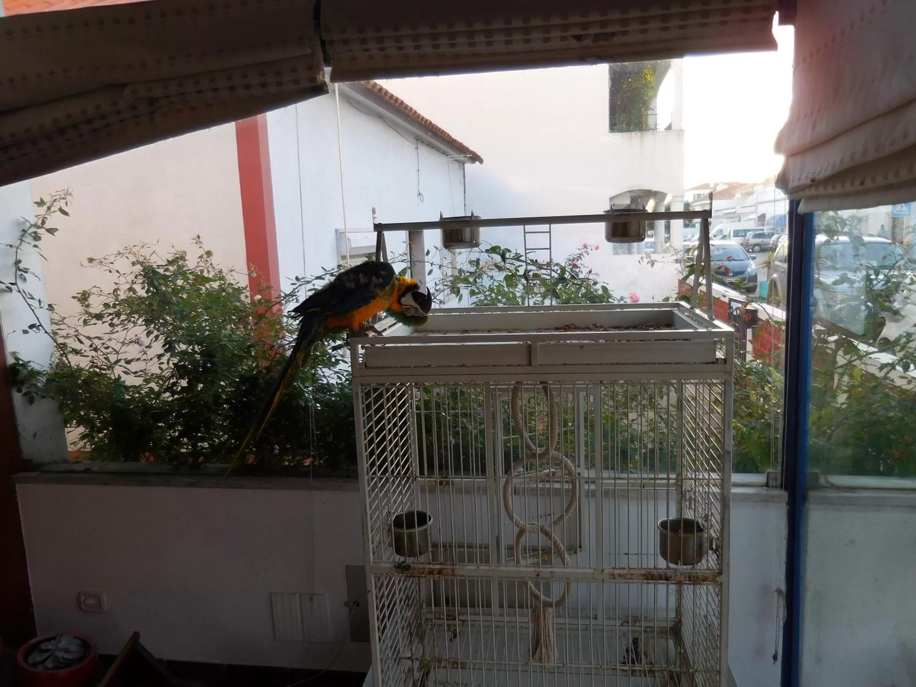 Other in Hotel Mar e Sol VNMF by Umbral