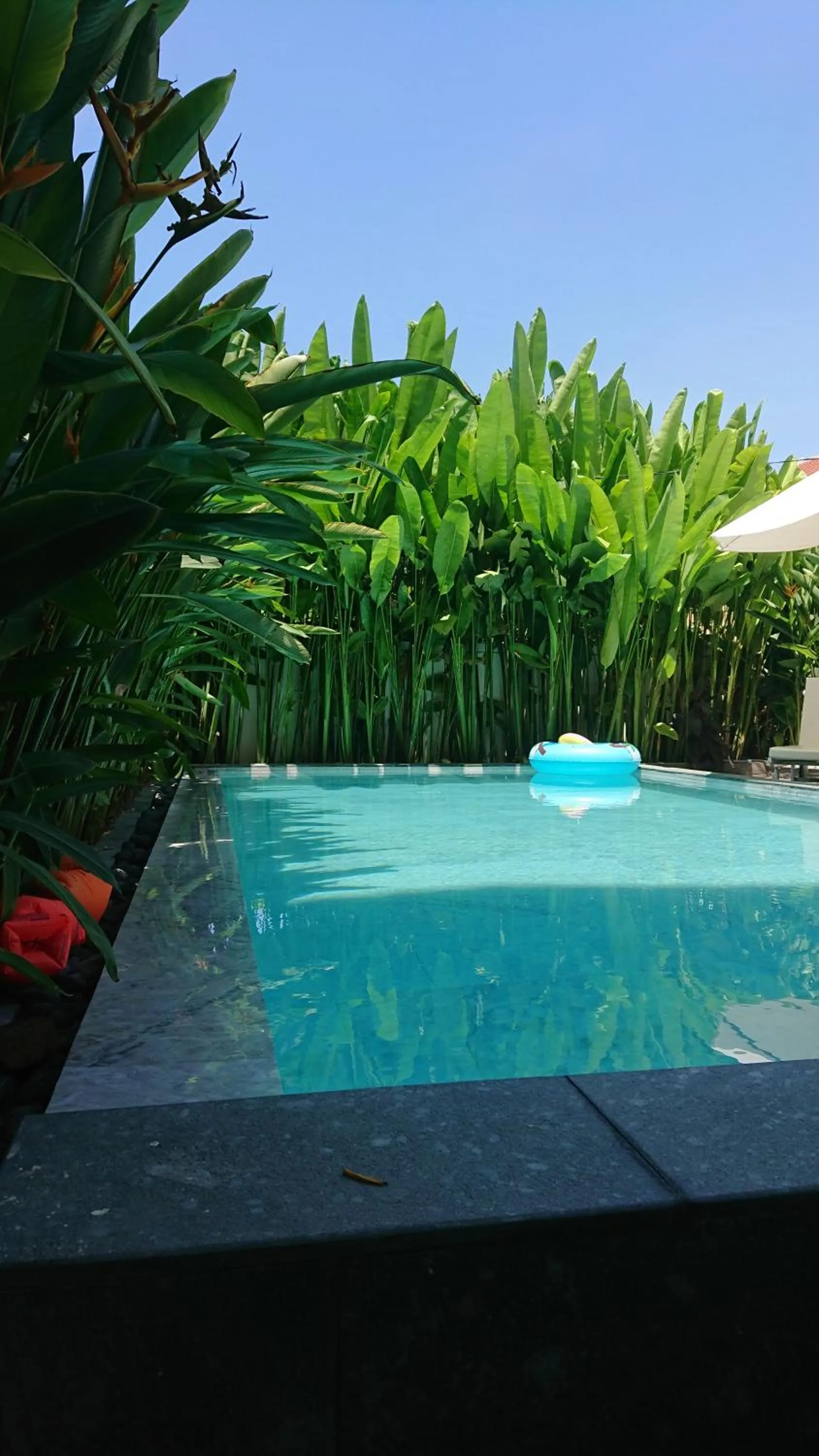 Pool view in Flamingo Villa Homestay - Big Rooms with Balcony - Close to Hoi An Old Town 200m & Temple Bridge - Large Outside Pool for Sun Bathing