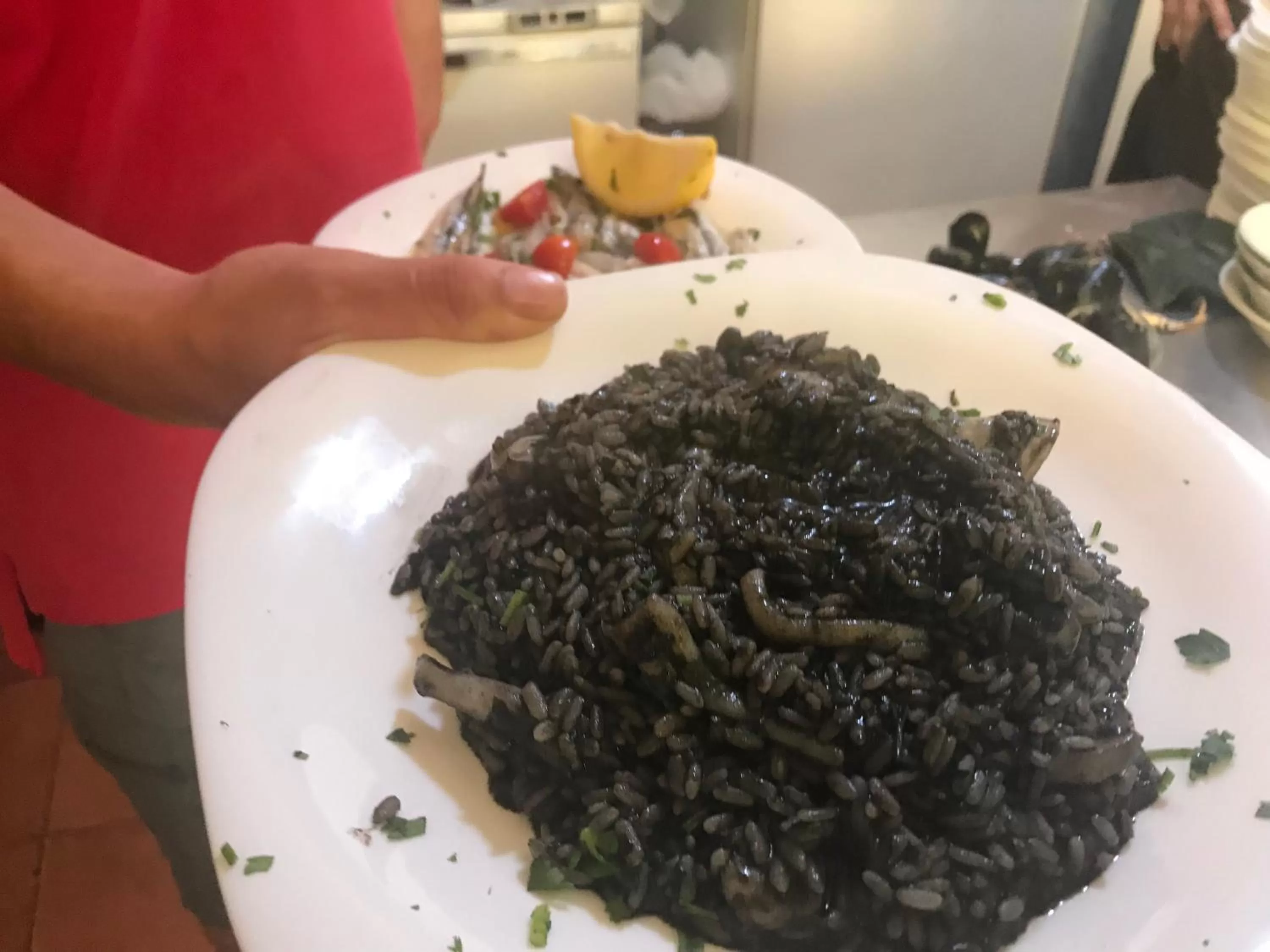 Food and drinks, Food in Hotel Alba-Gert