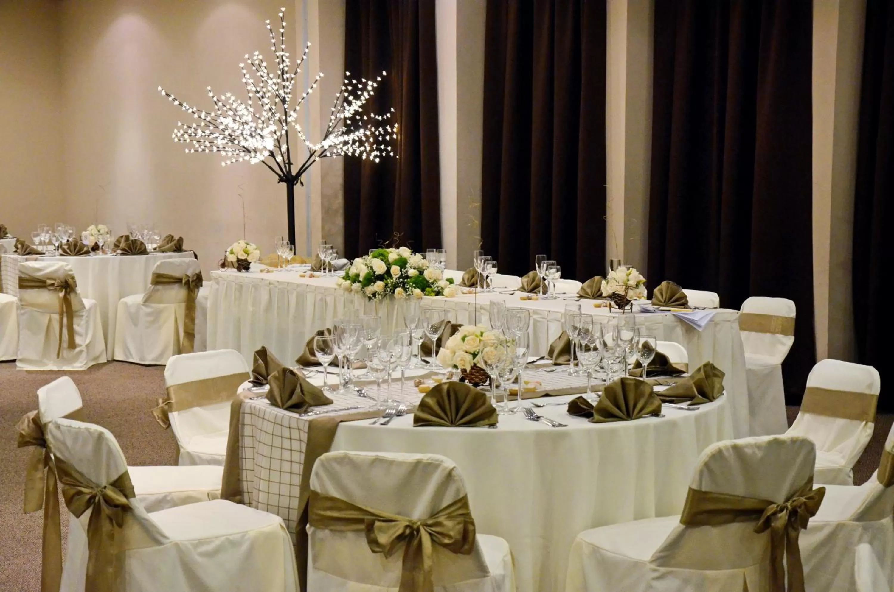Banquet/Function facilities in Fenix Hotel