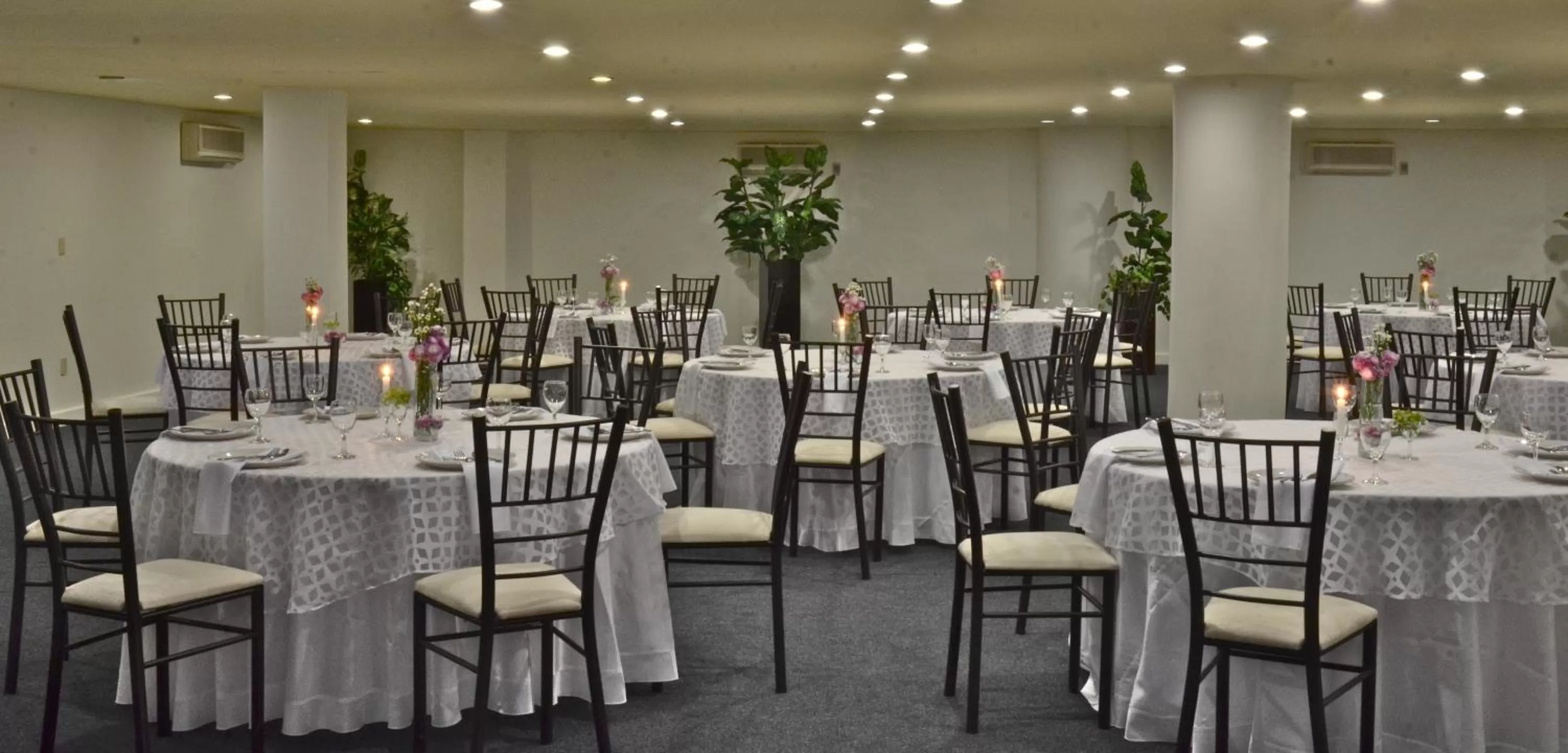 Restaurant/places to eat in Mision Monterrey Centro Historico