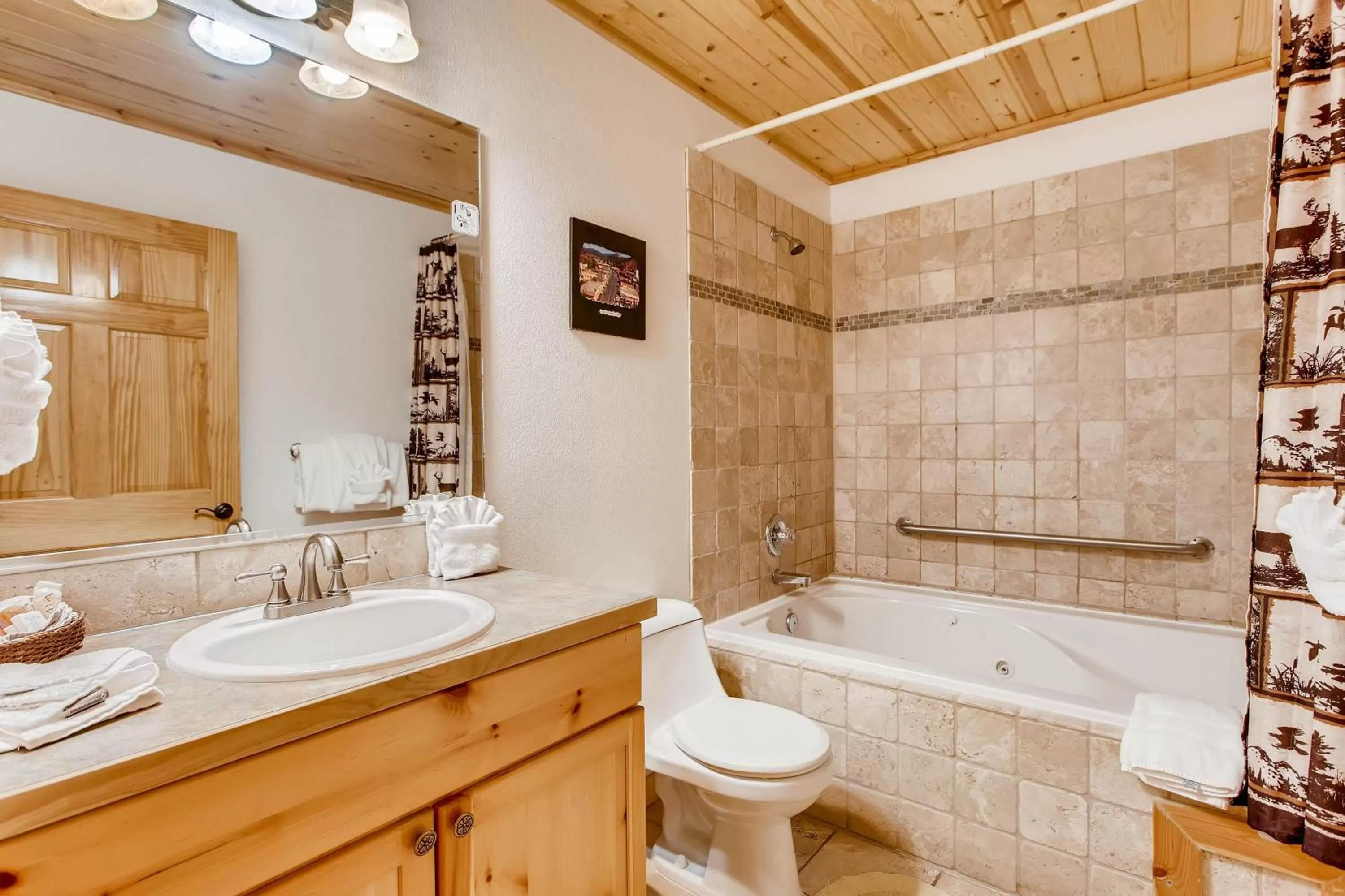 Bathroom in Estes Park Condos