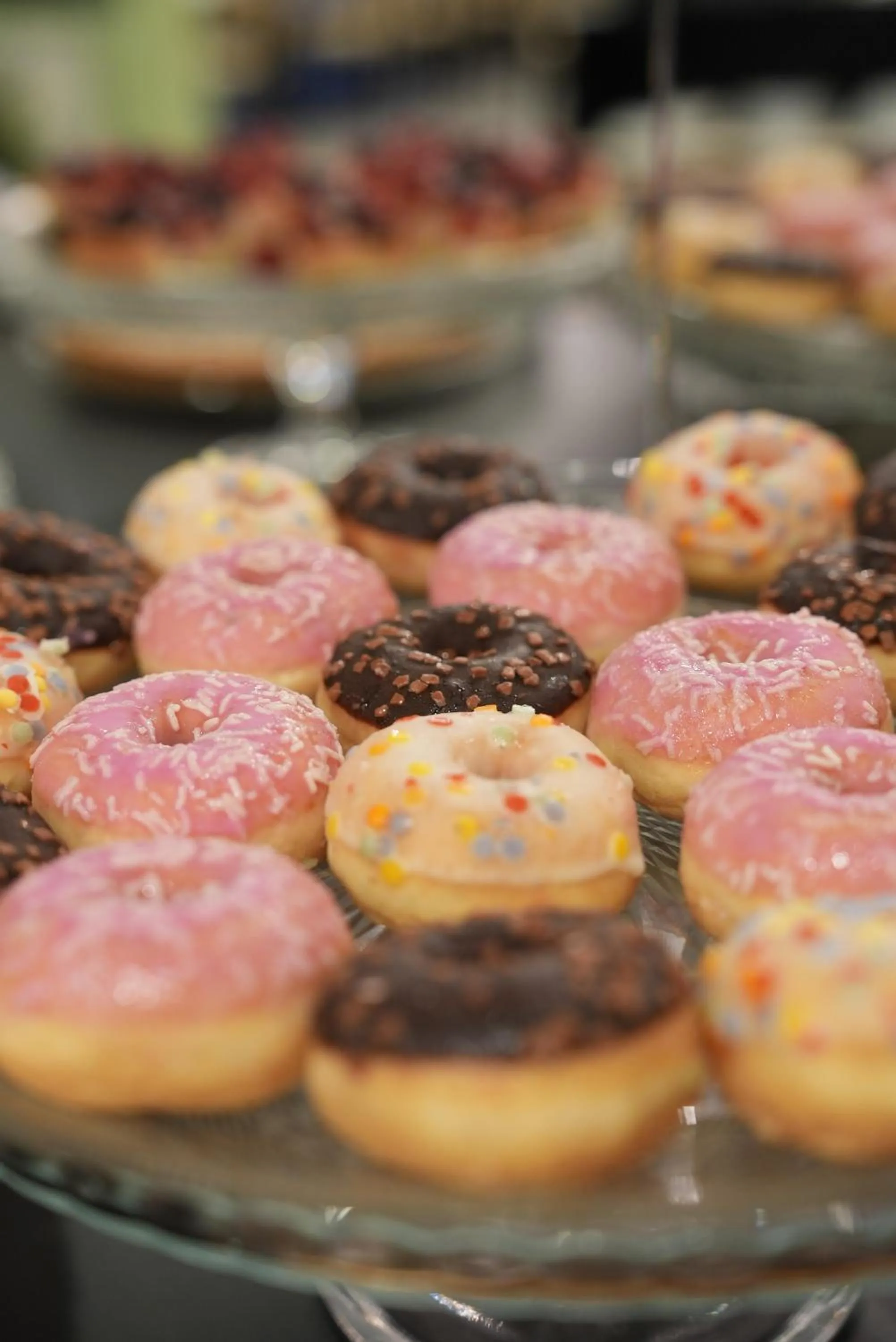 Food and drinks in Hotel Puccini