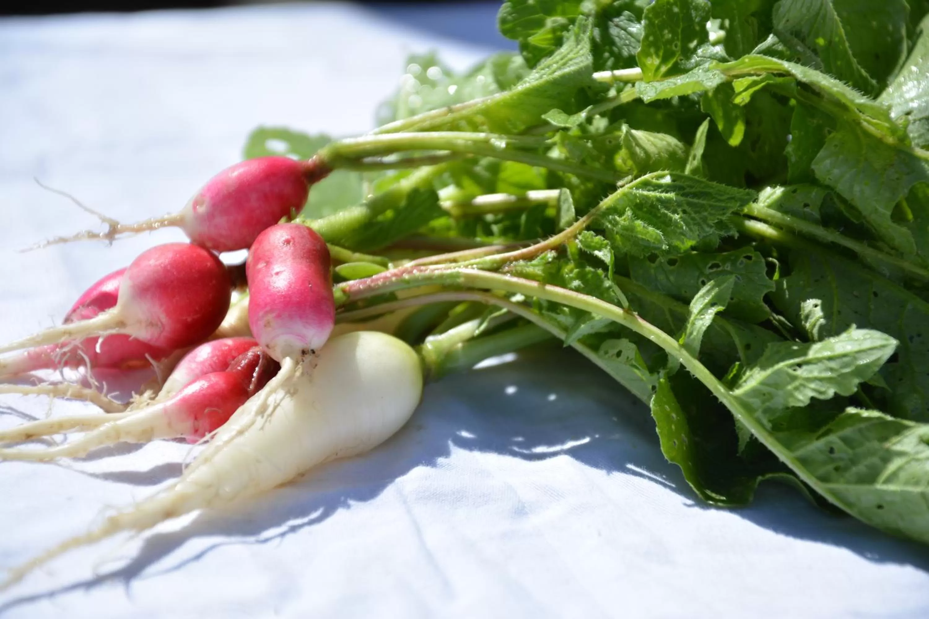 Food in Hueber der Wirt