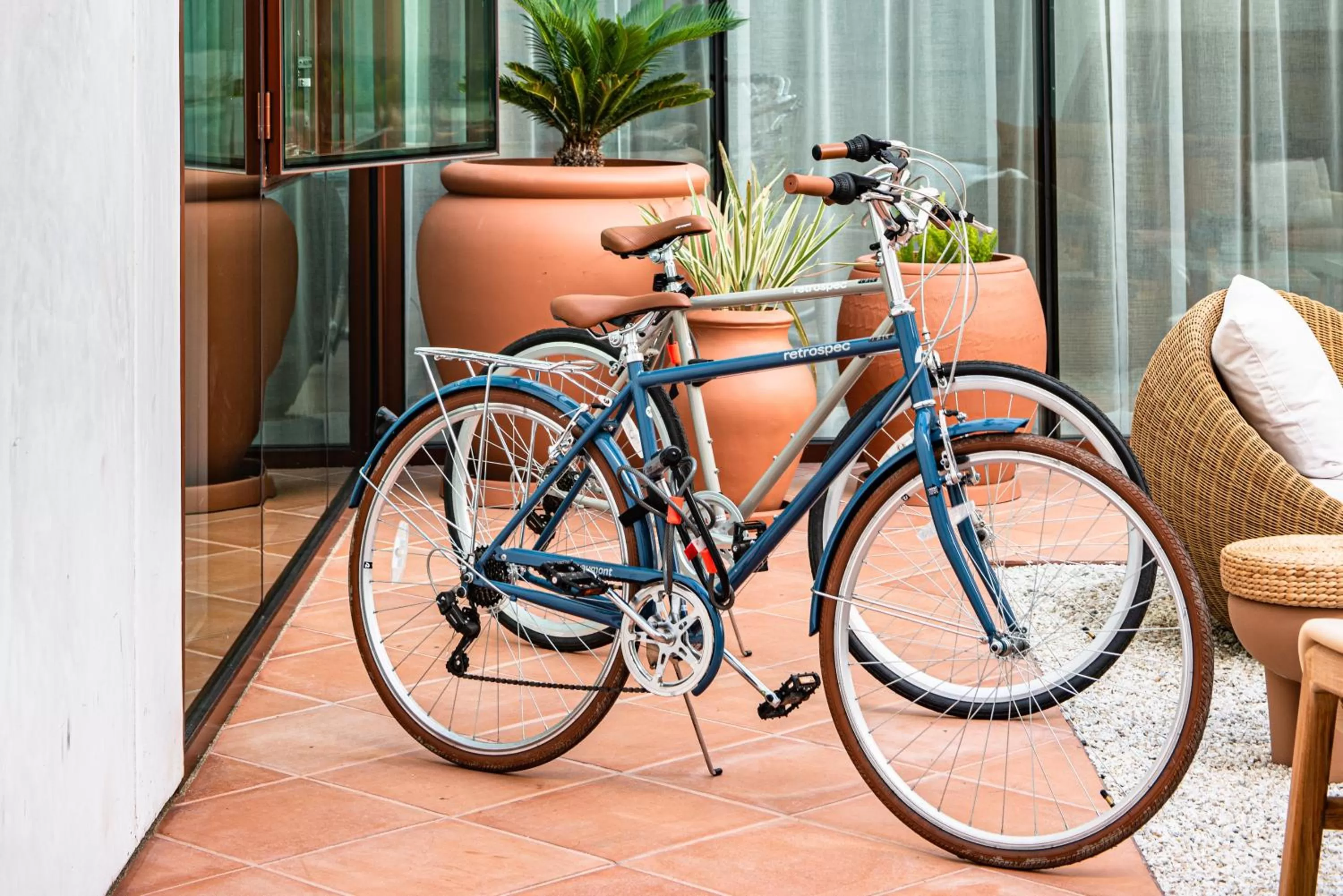 Cycling in Alsace LA