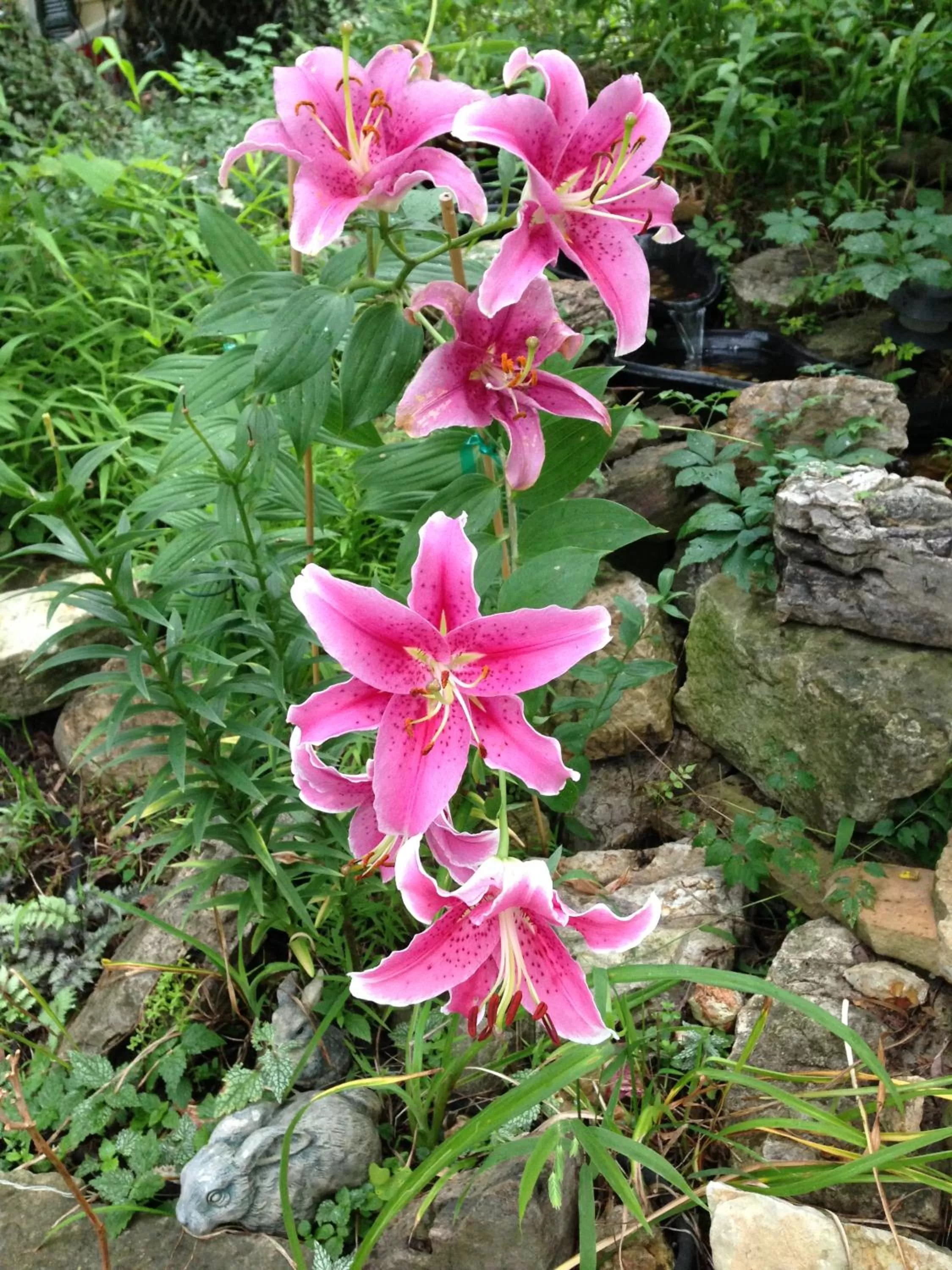 Property building in Sherwood Court Cottages & Guest Rooms