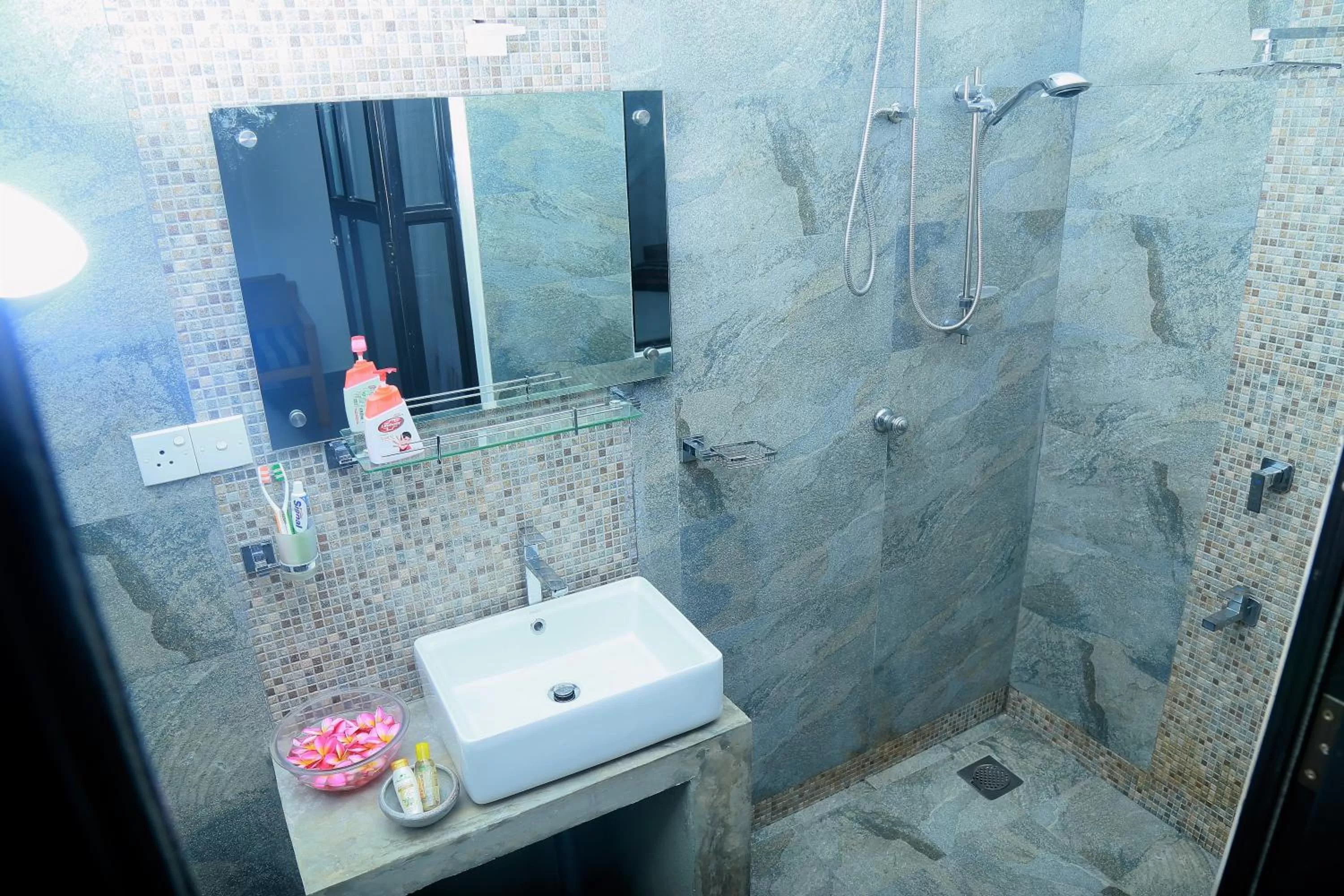 Shower, Bathroom in SriMany