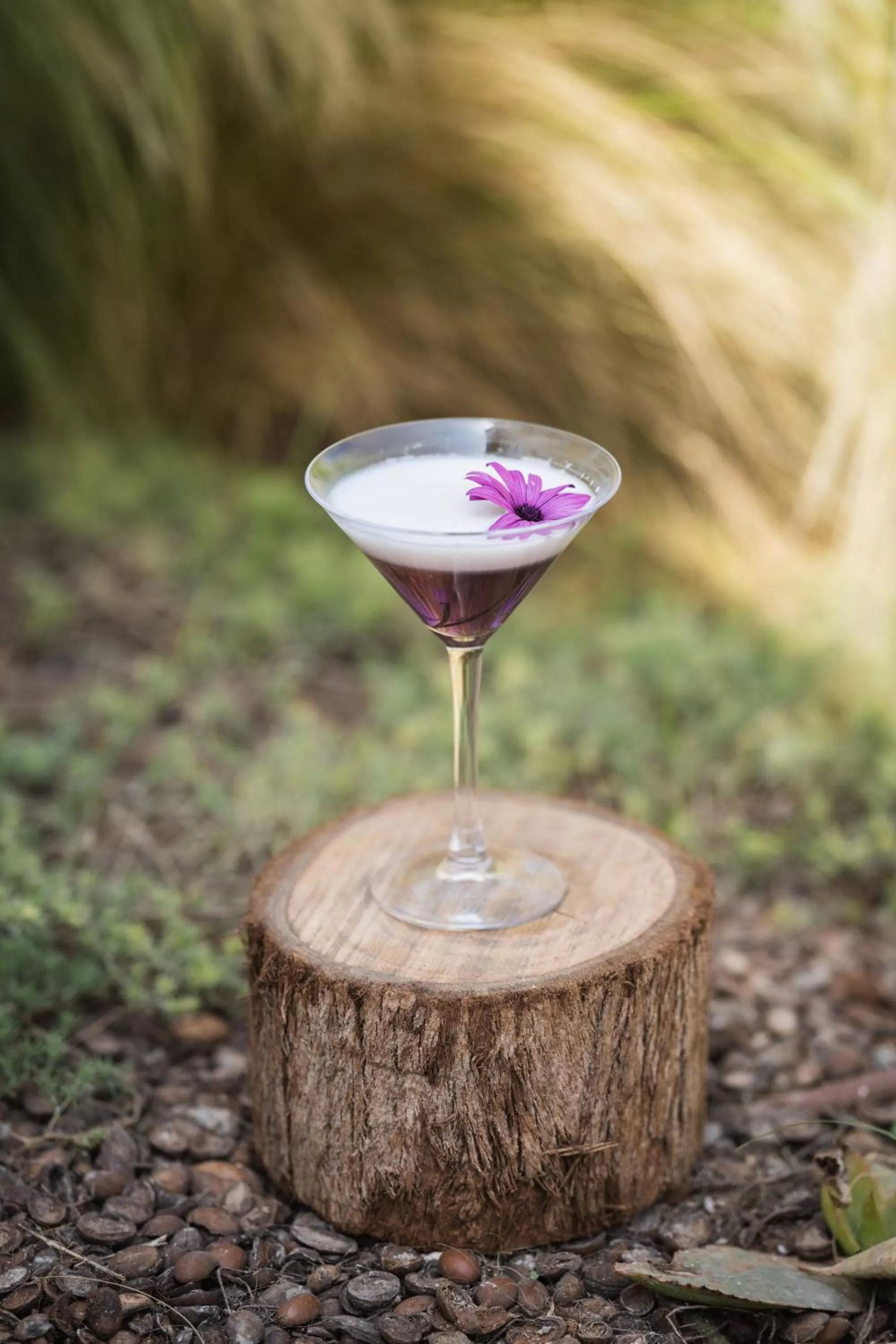 Food and drinks in Sofitel Agadir Thalassa Sea & Spa