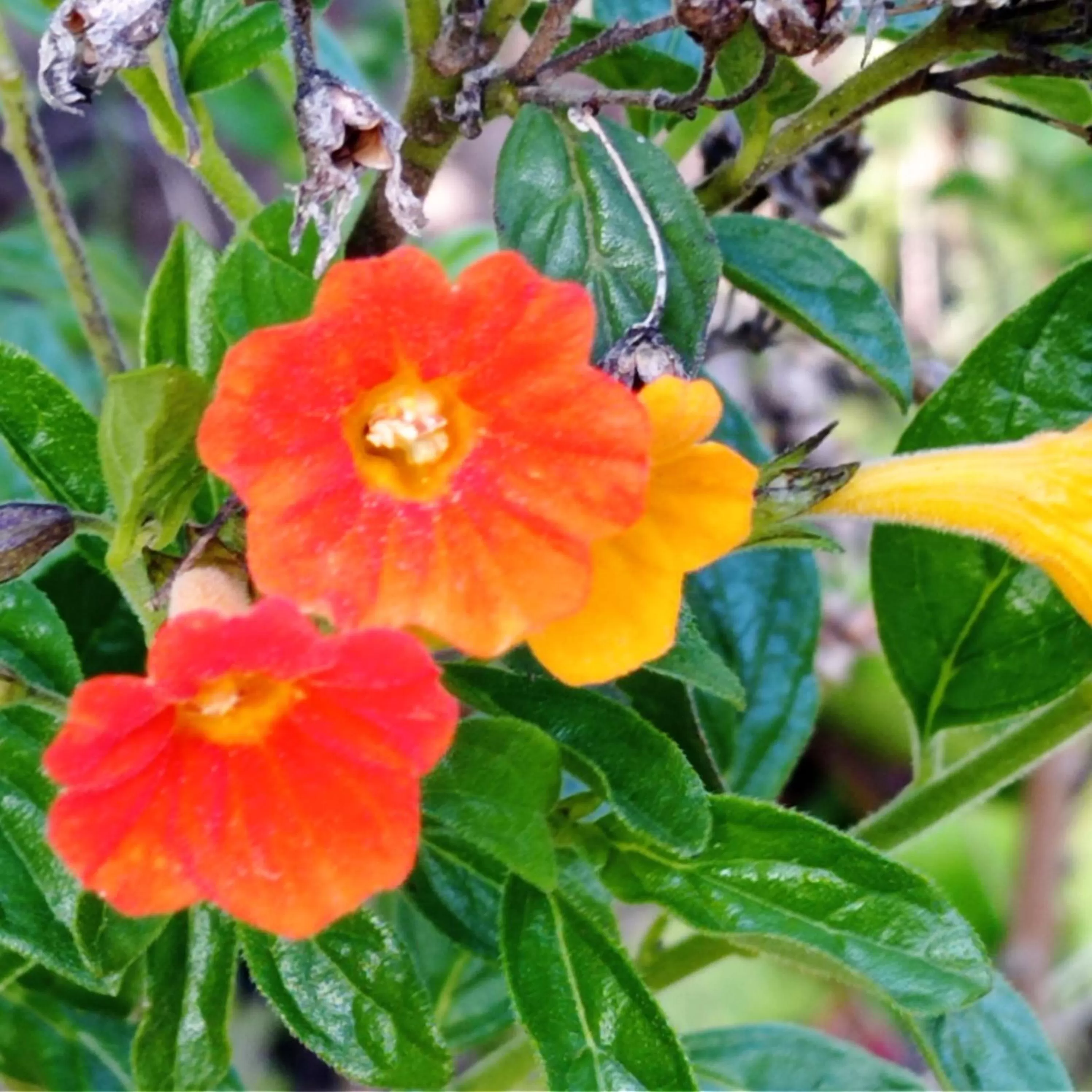 Hotel Refugio Pozo Azul