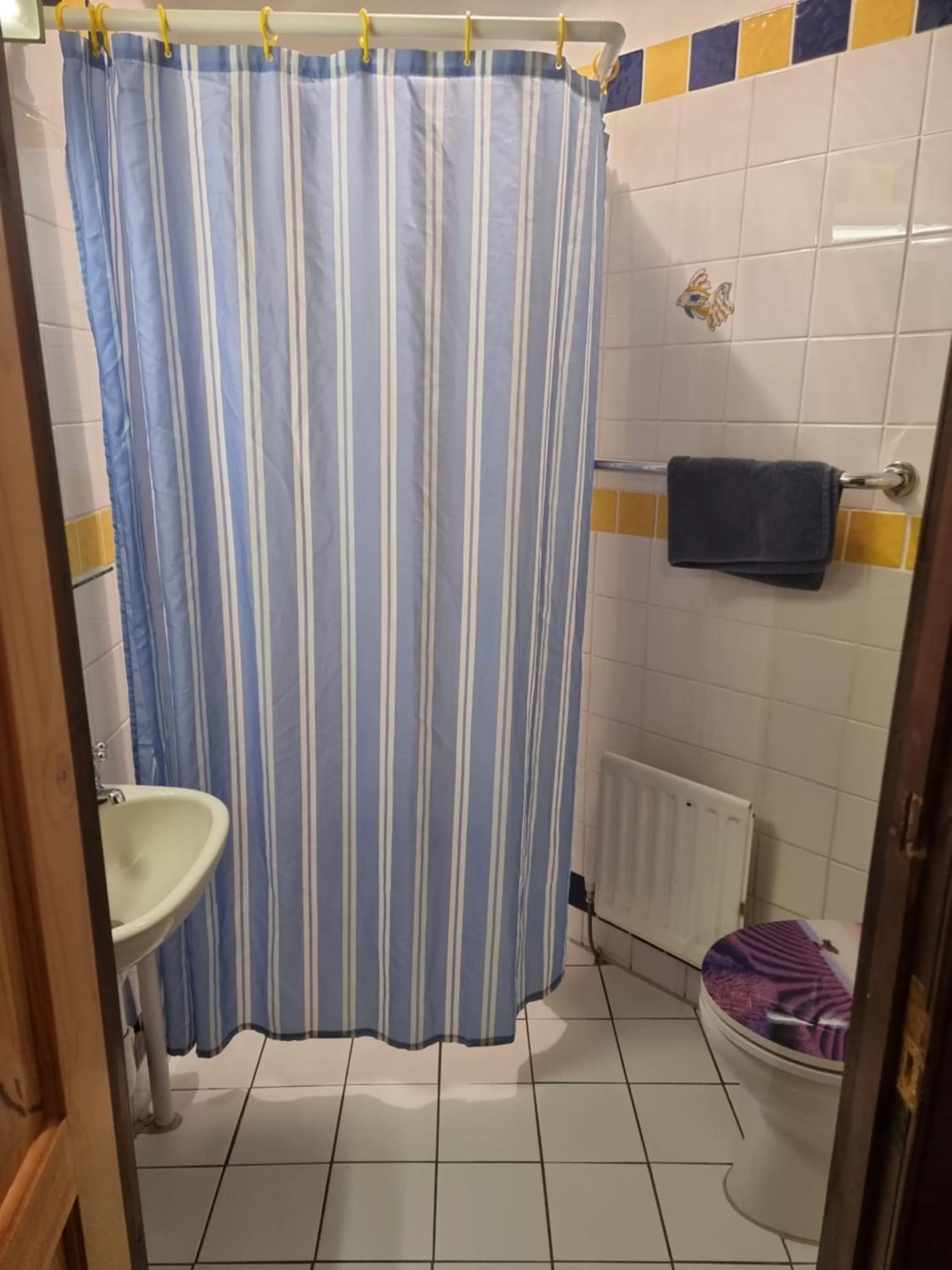 Bathroom in B&B Drum Farm