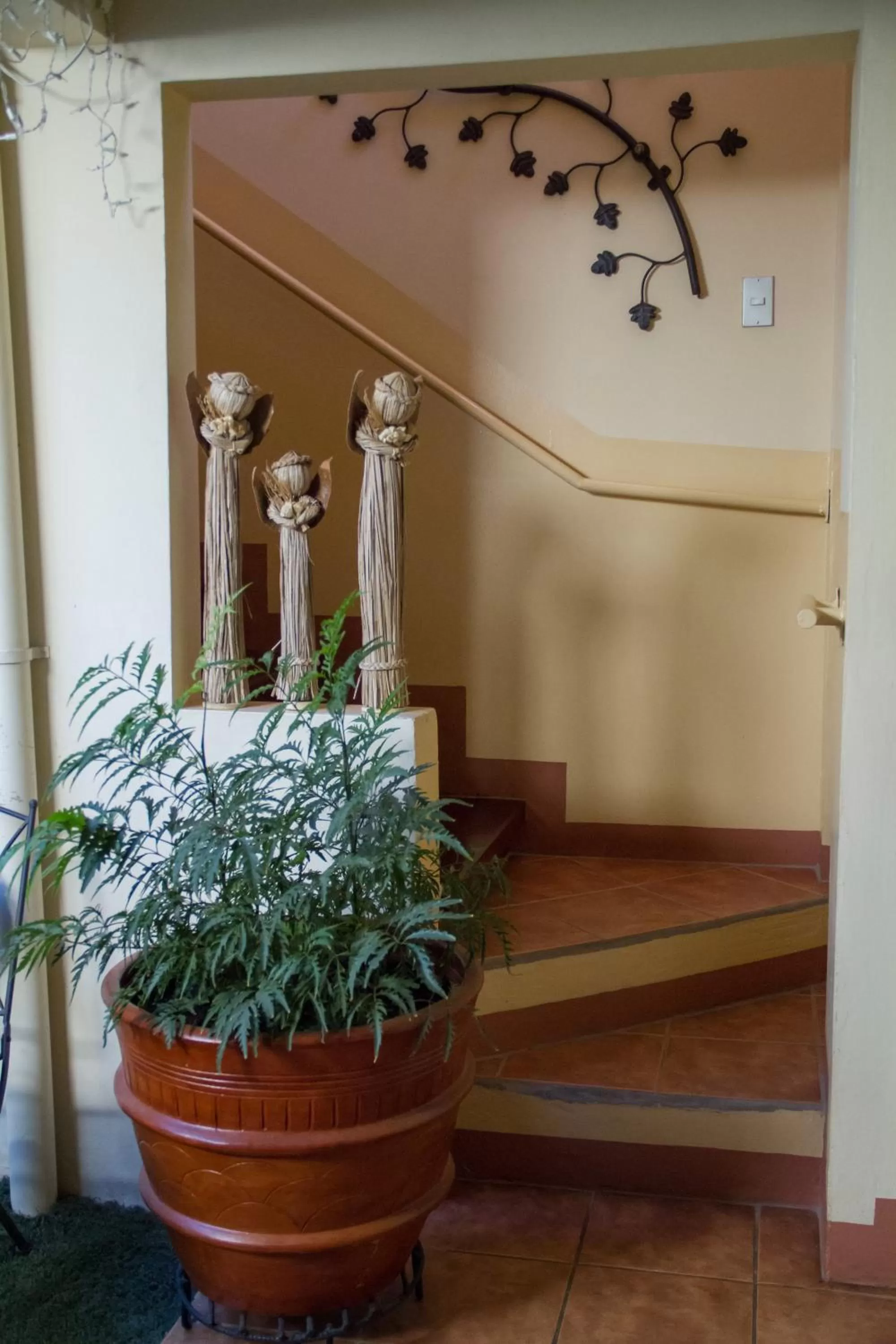 Property building in Hotel Colibri