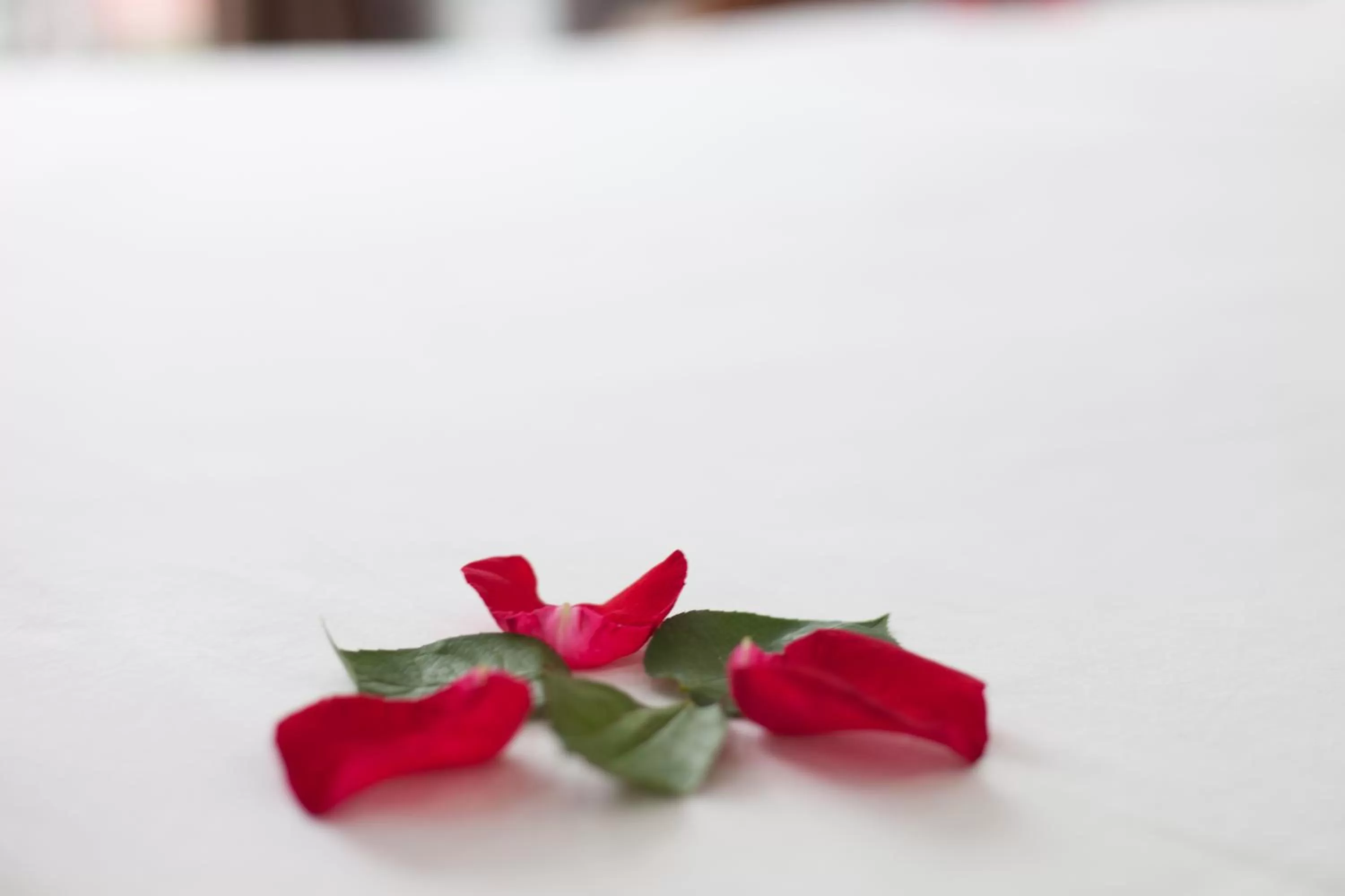 Decorative detail in Hanoi Bel Ami Hotel