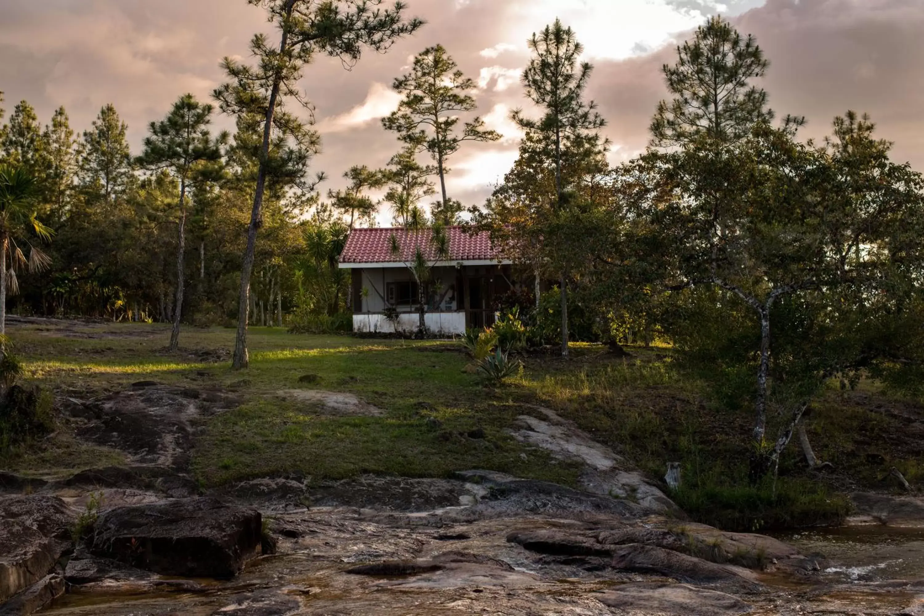 Deluxe Queen Room in Pine Ridge Lodge Deluxe Queen Room in Pine Ridge Lodge