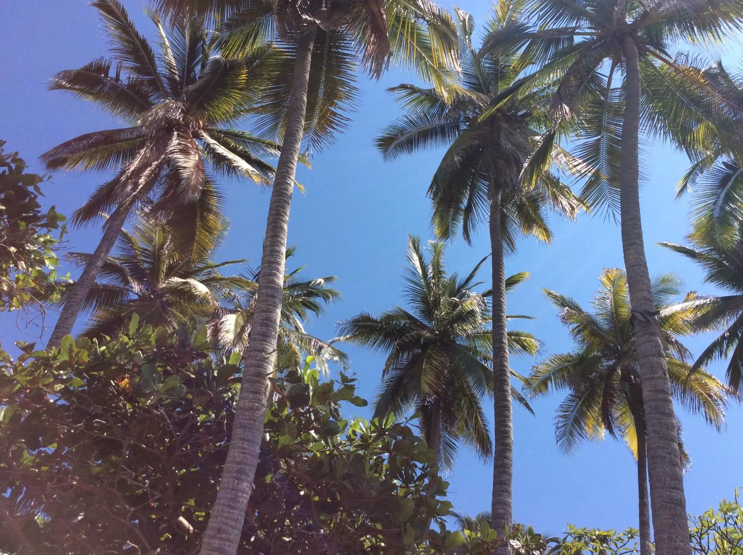 Donde Mira el Sol HOTEL RETIRADO Y ESPACIOSO CON CONDICIONES IDEALES PARA PASAR LA CONTINGENCIA CON LA MAYOR SEGURIDAD