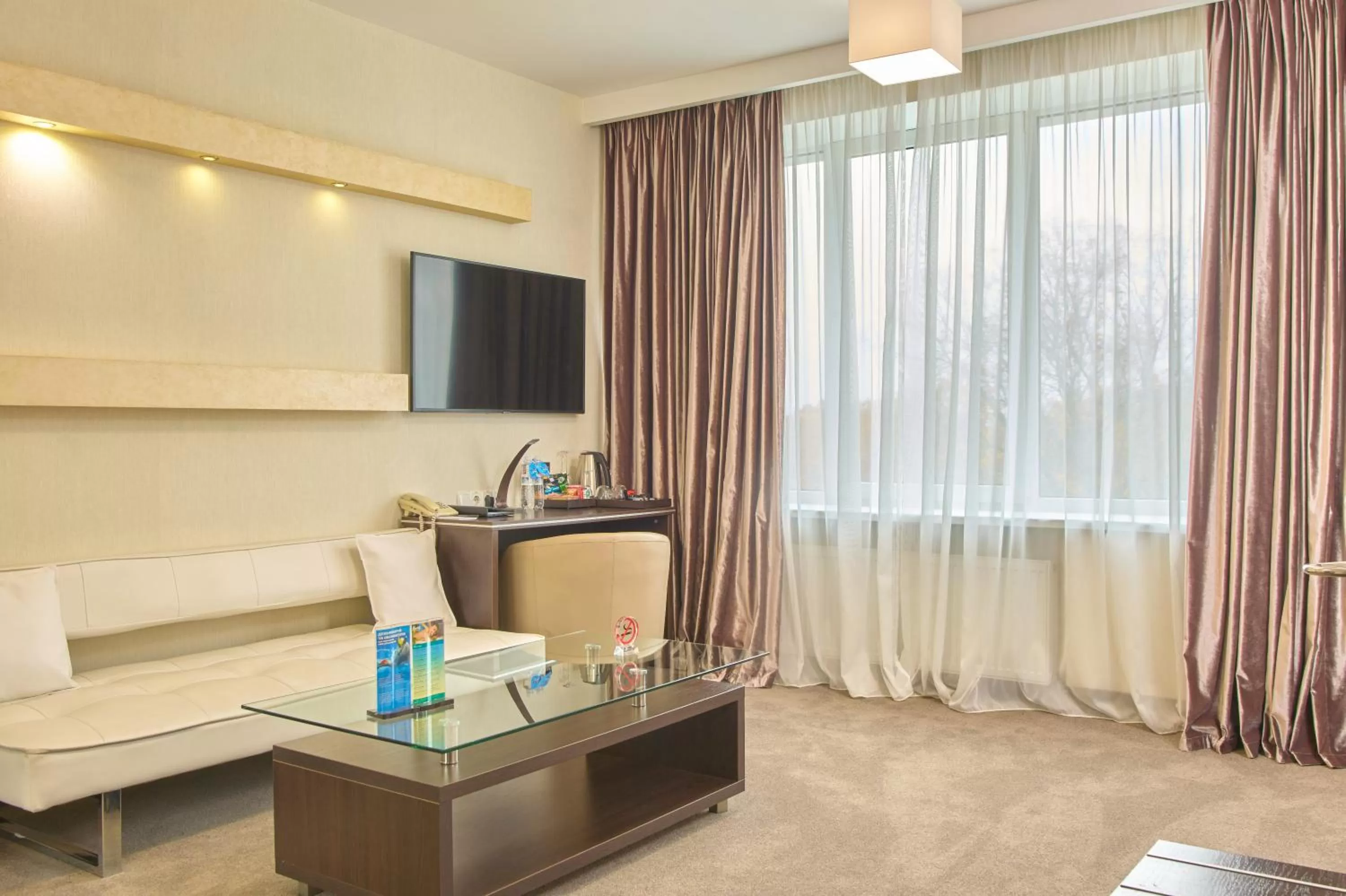 View (from property/room), TV/Entertainment Center in Hotel & Spa NEMO with dolphins