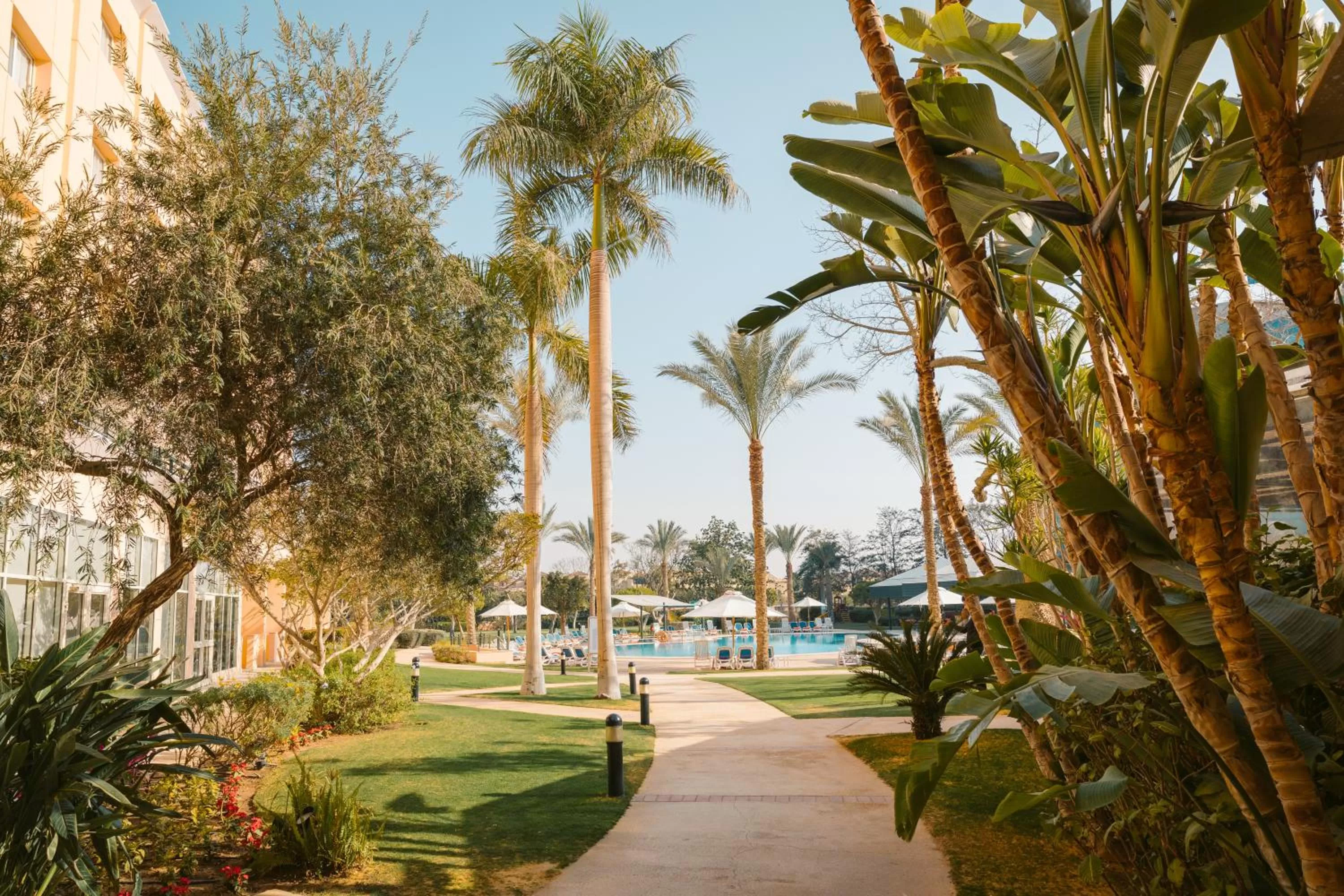 Garden in Novotel Cairo 6th Of October