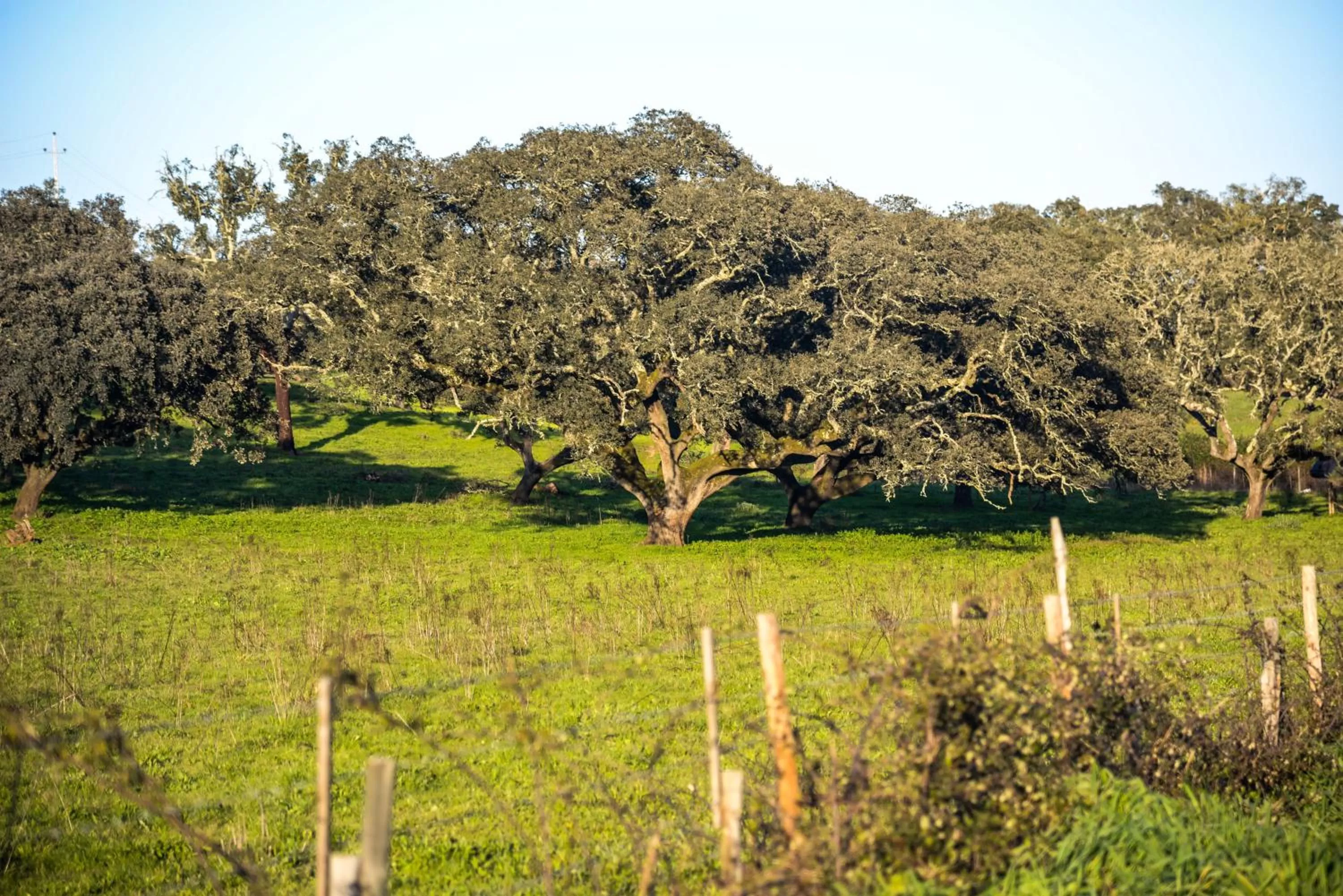 Nearby landmark in Arrifana Destination Suites