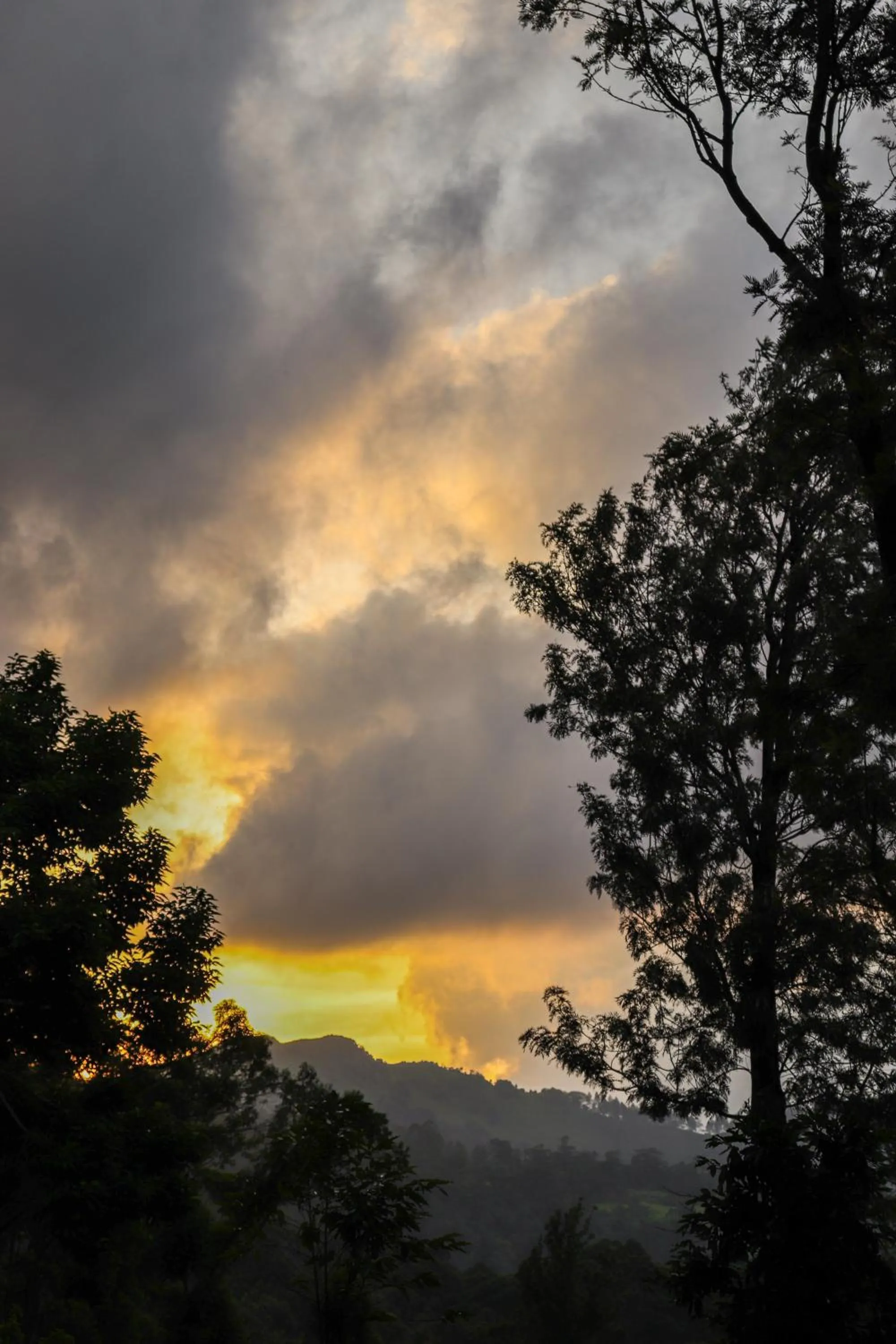Patio in Hanthana House