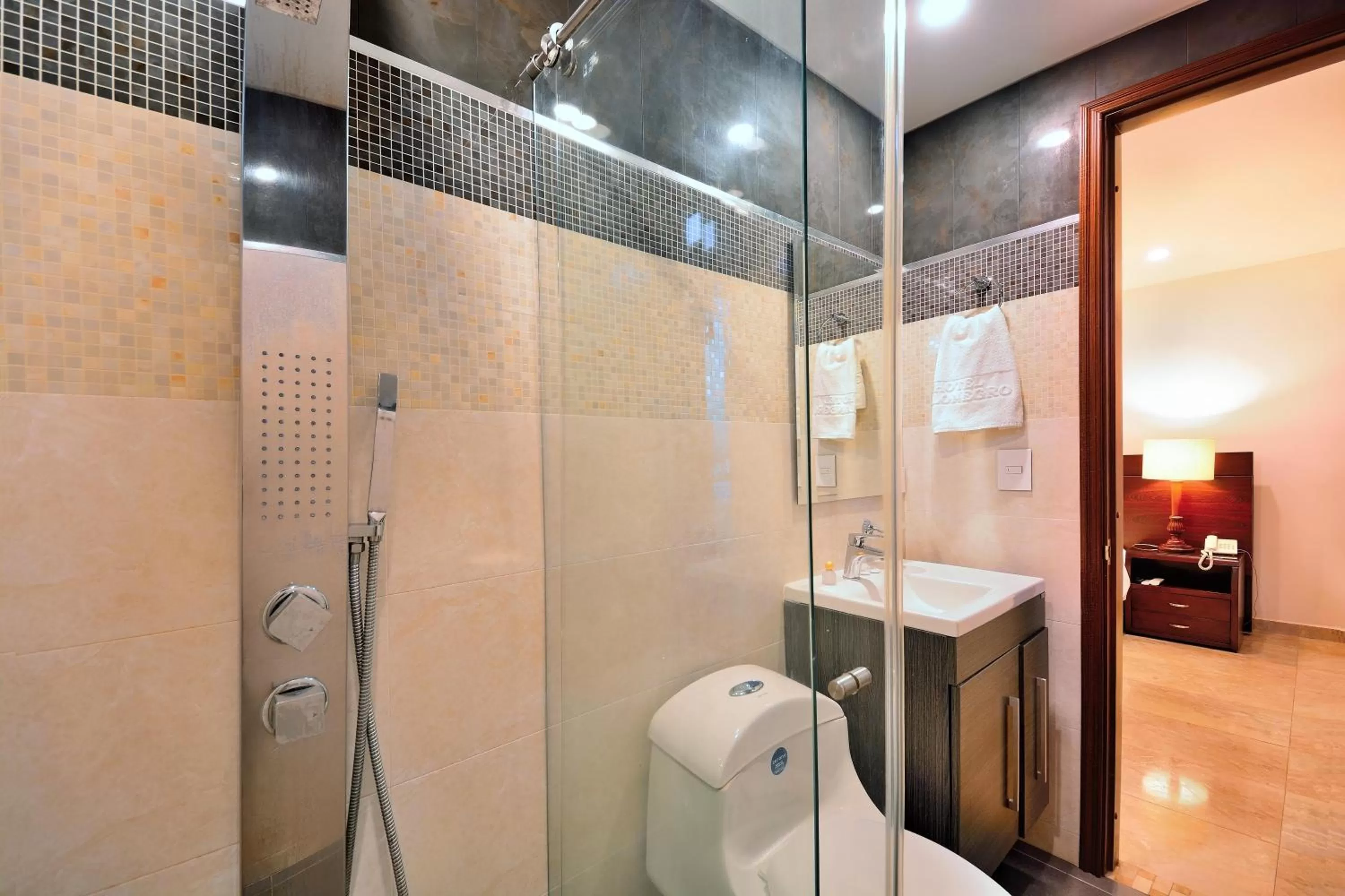 Shower, Bathroom in Hotel Palonegro