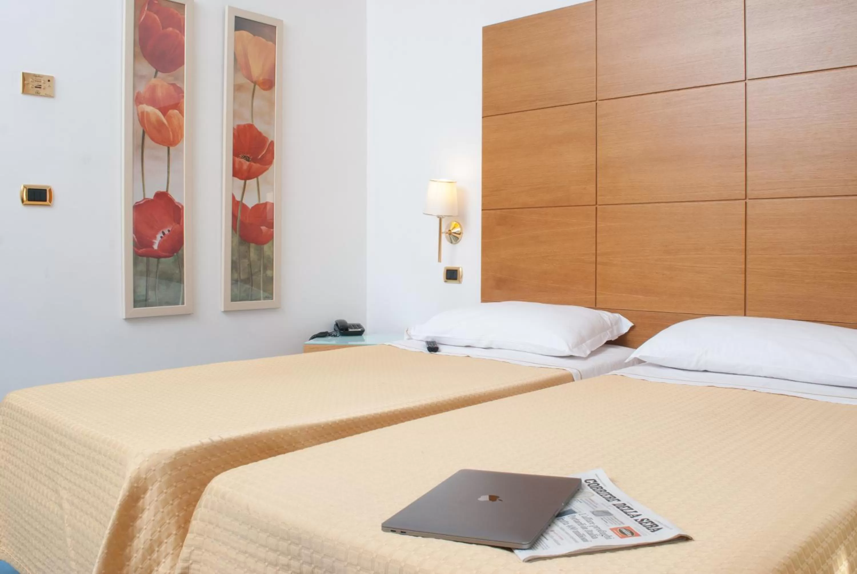 Shower, Bed in City Hotel