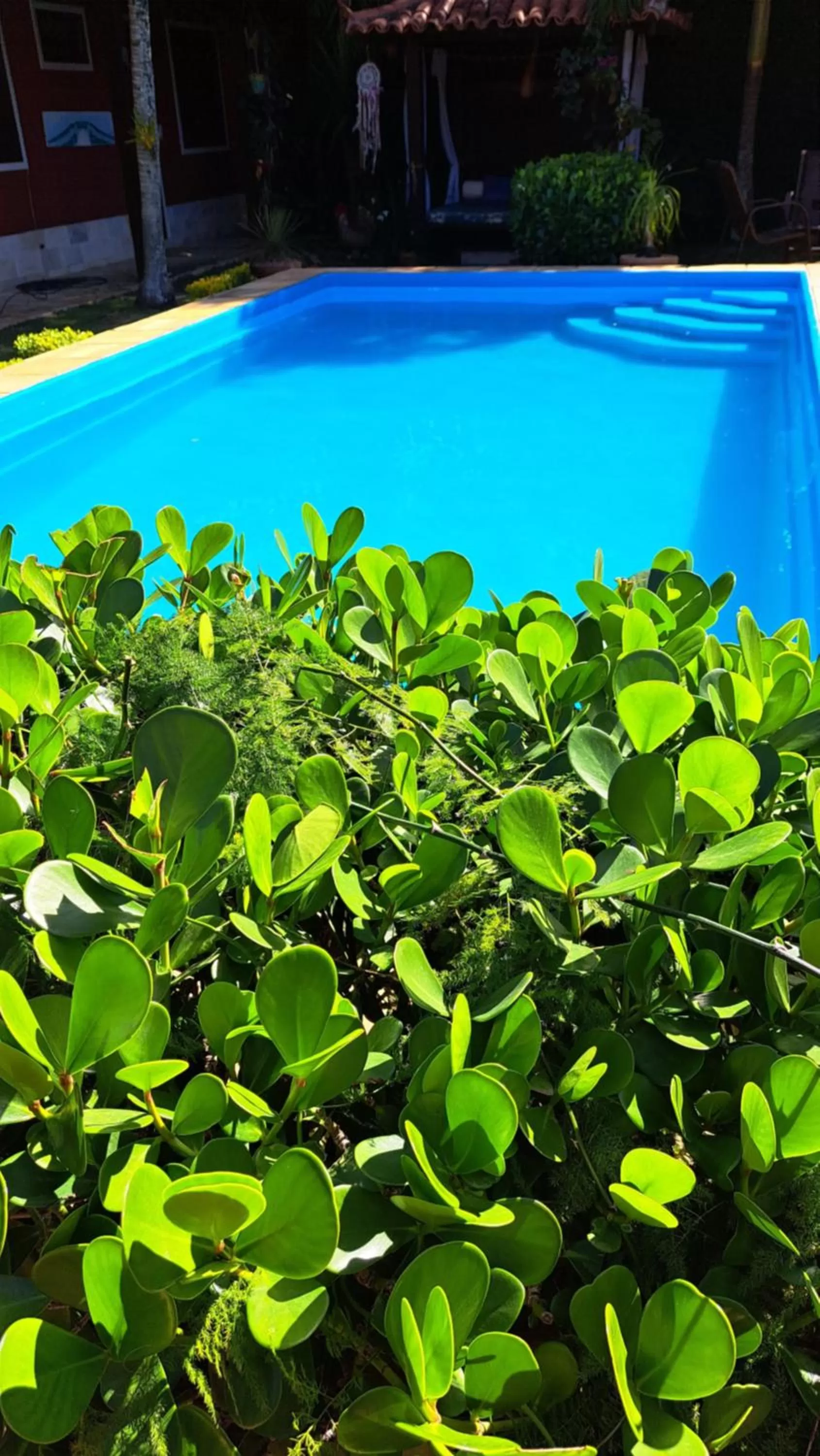 Swimming Pool in Pousada Casa da Aroeira