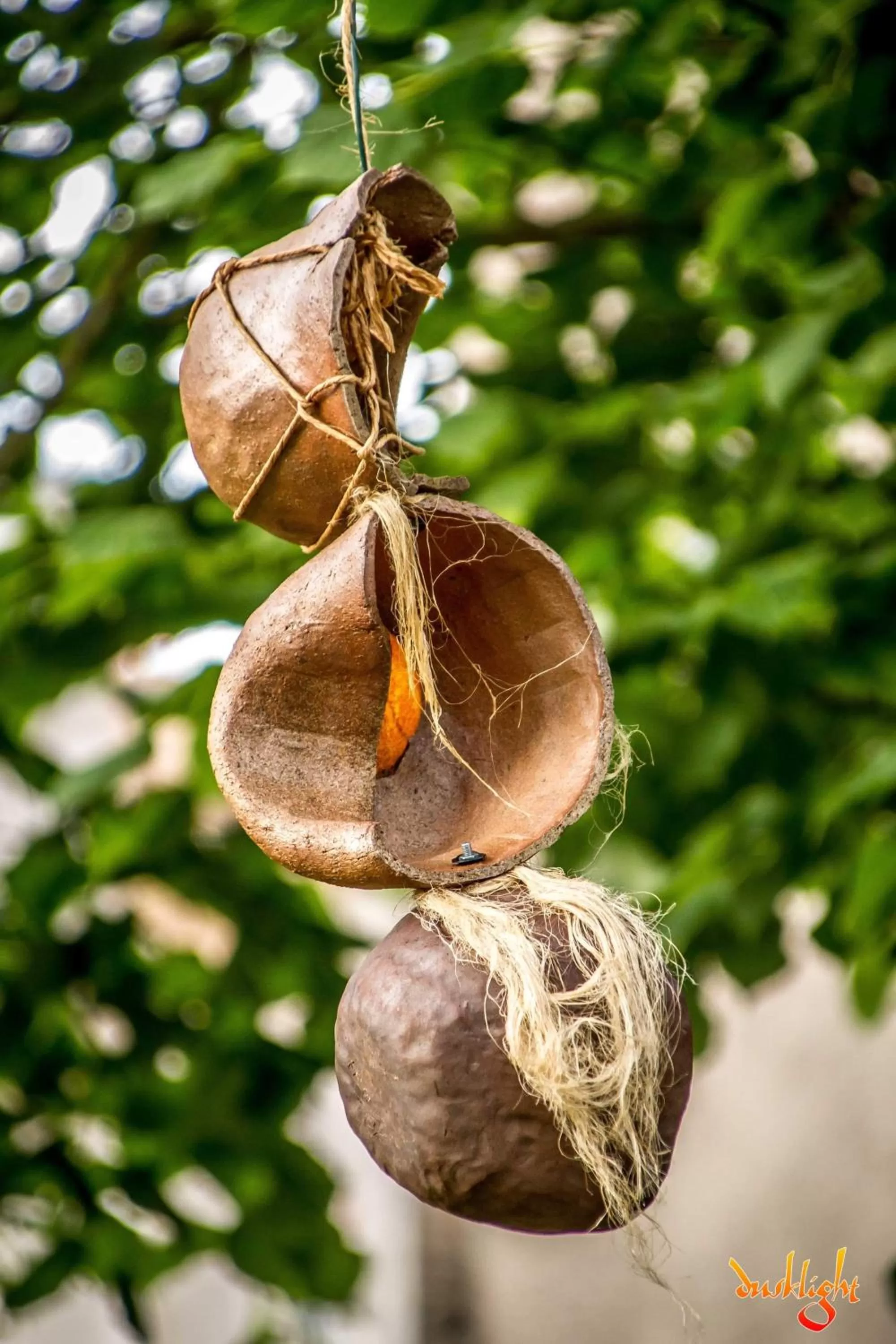 Garden in Art Home BnB
