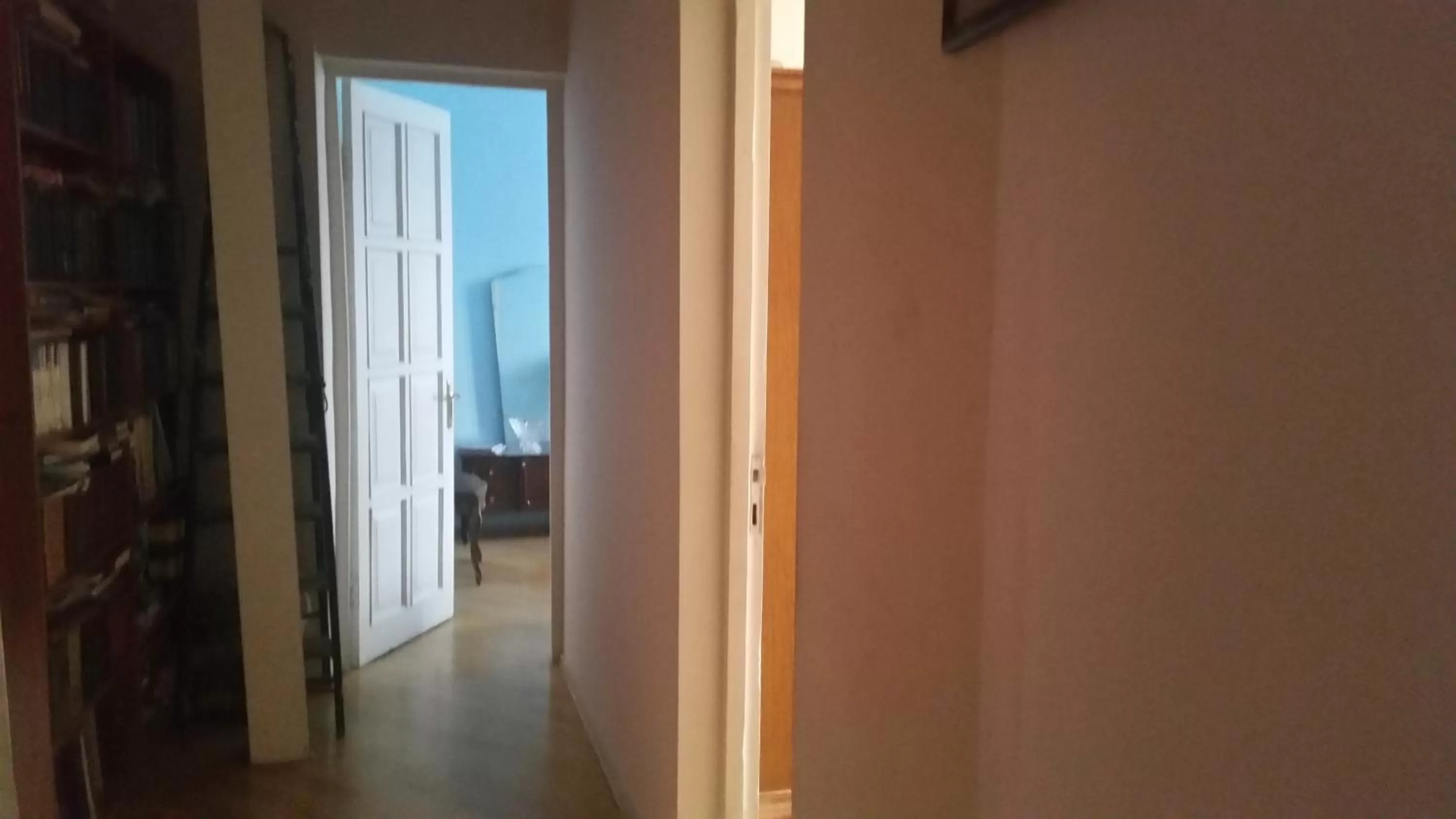 Decorative detail in Hotel MMG