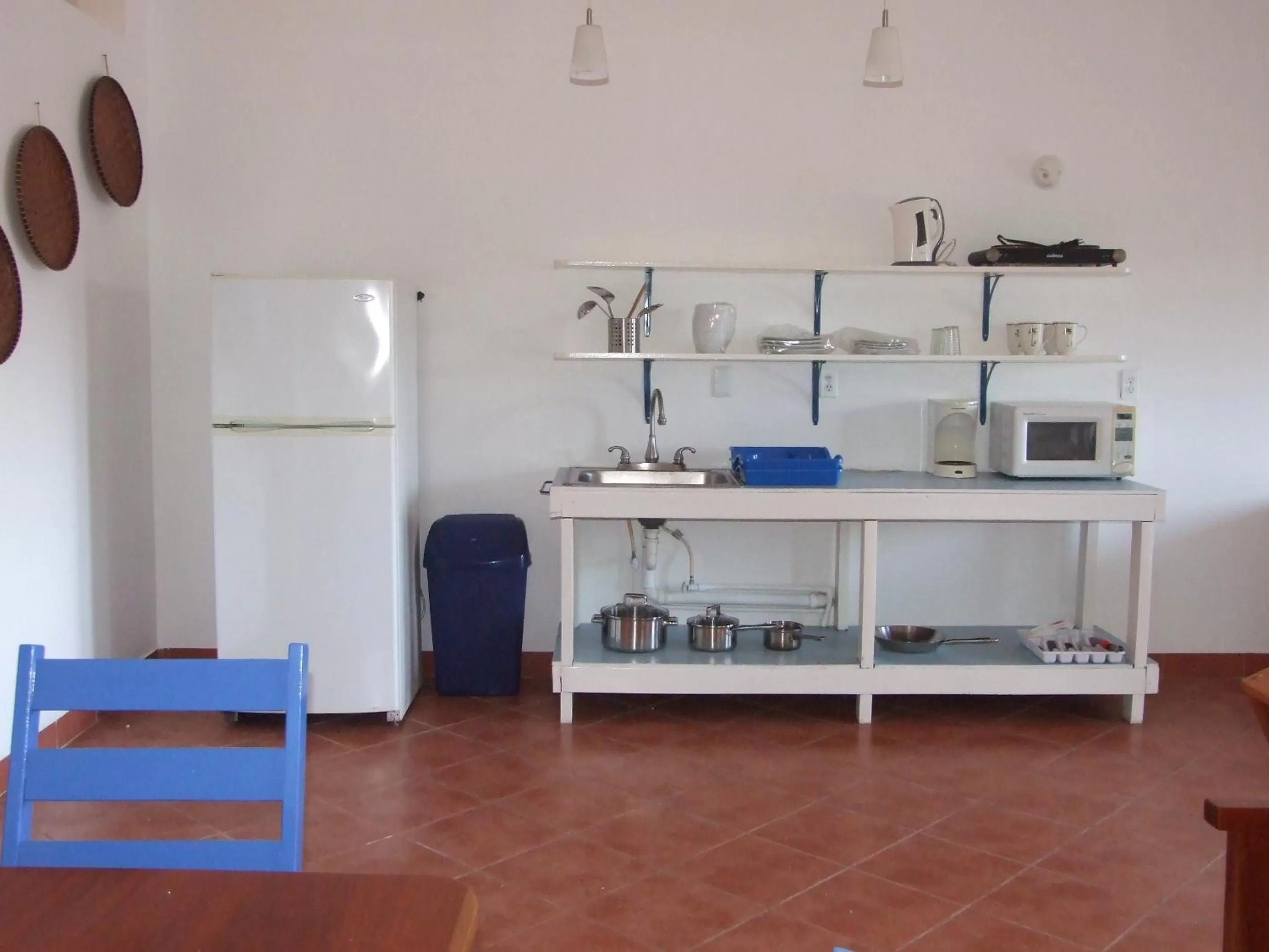 Kitchen or kitchenette in BlueBelize B&B