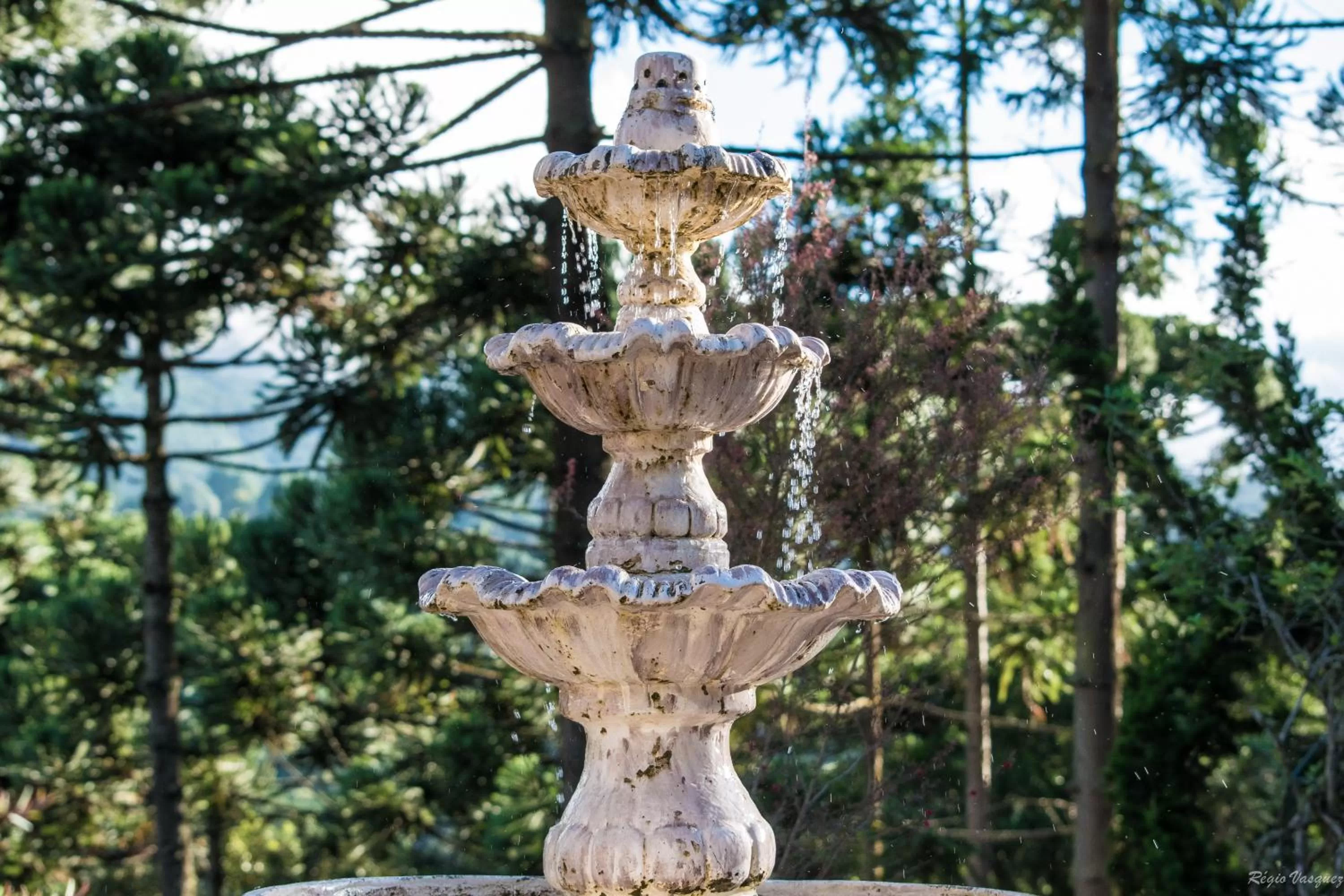 Garden view in Pousada Ricanto Amore Mio