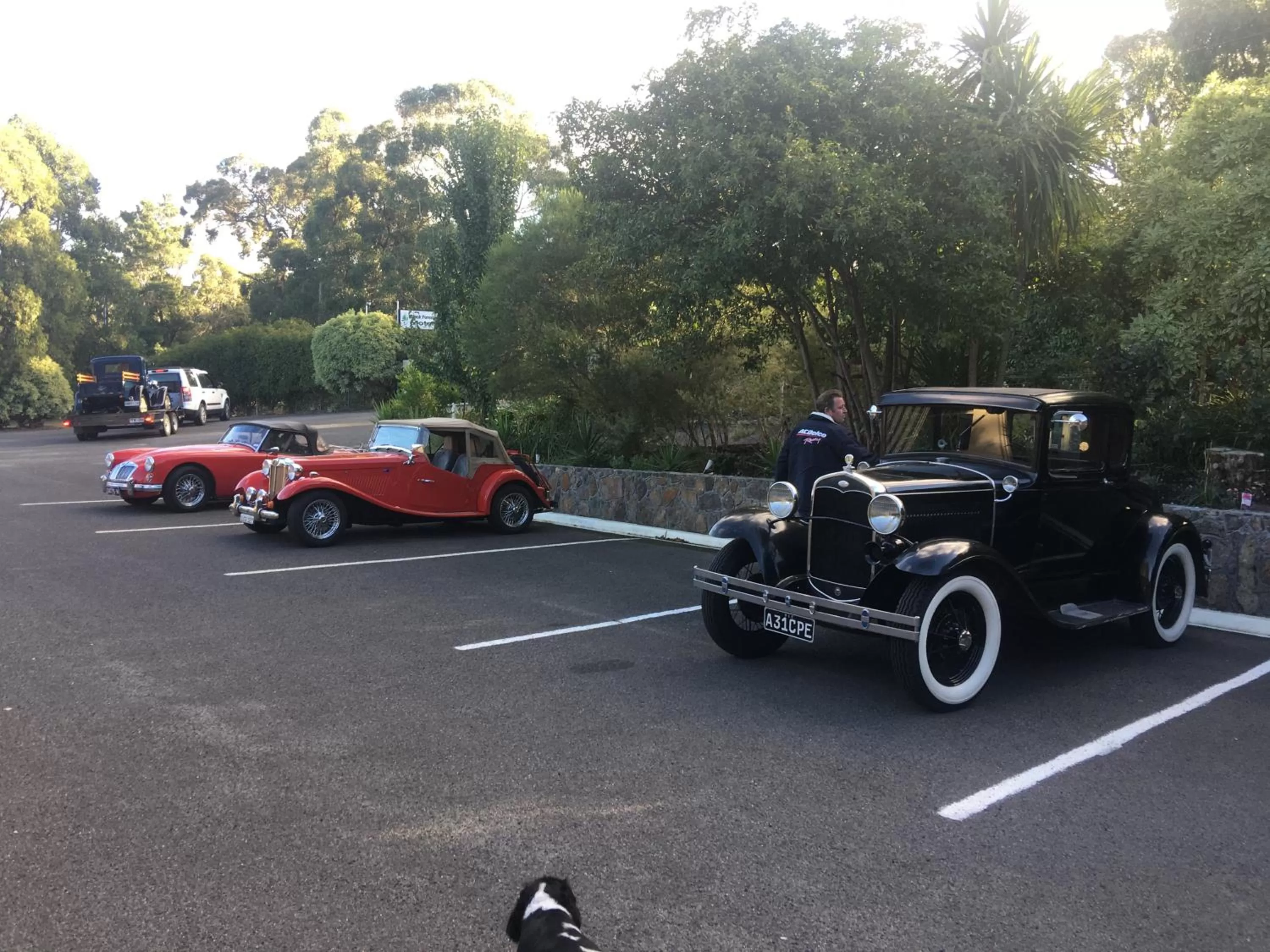 Property building in Black Forest Motel