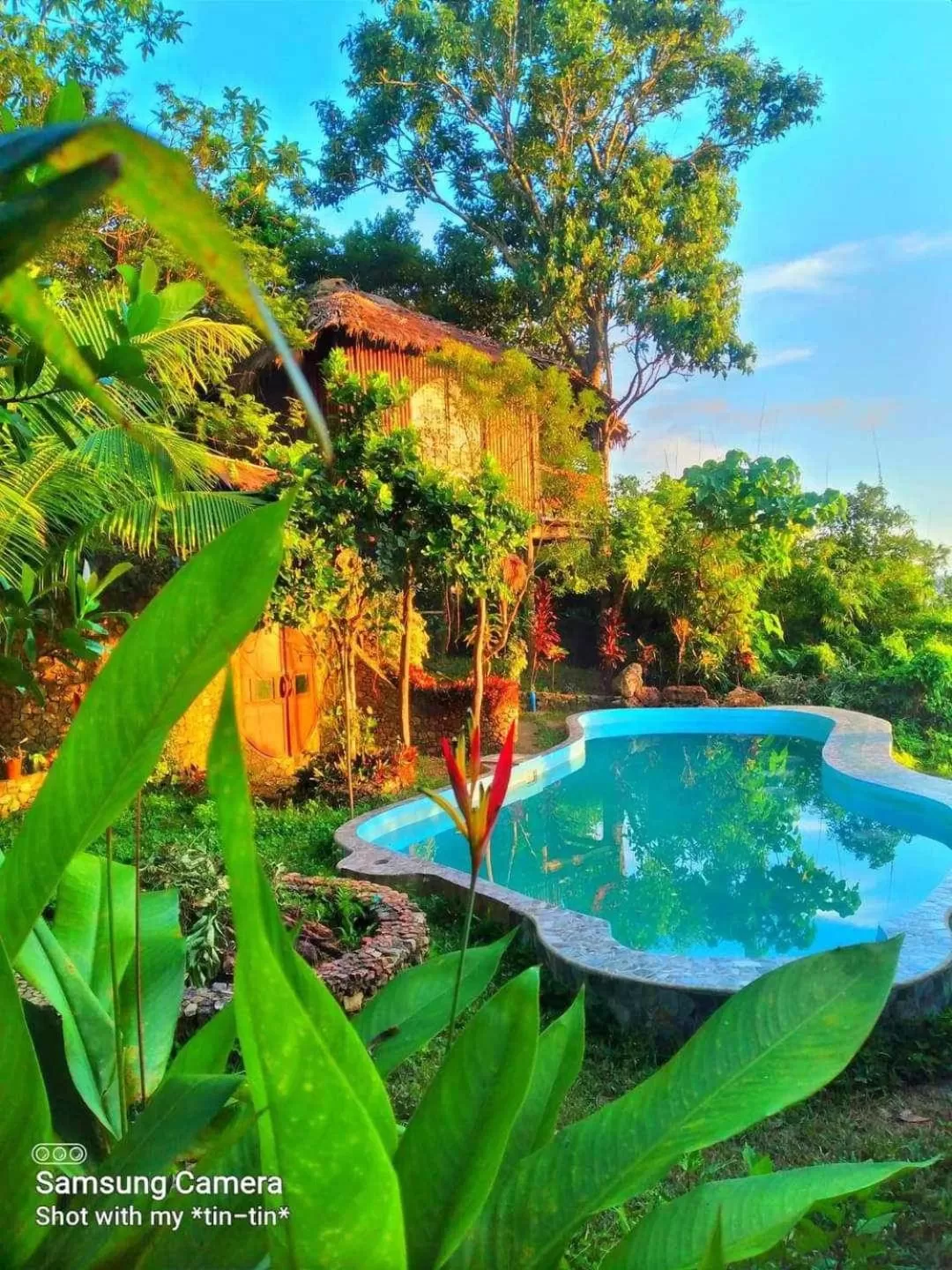 Sanctuaria Treehouses Busuanga